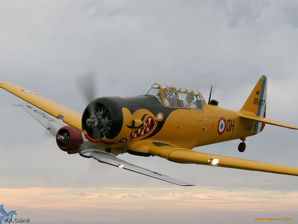 авиация, лёгкие, одномоторные, самолёты