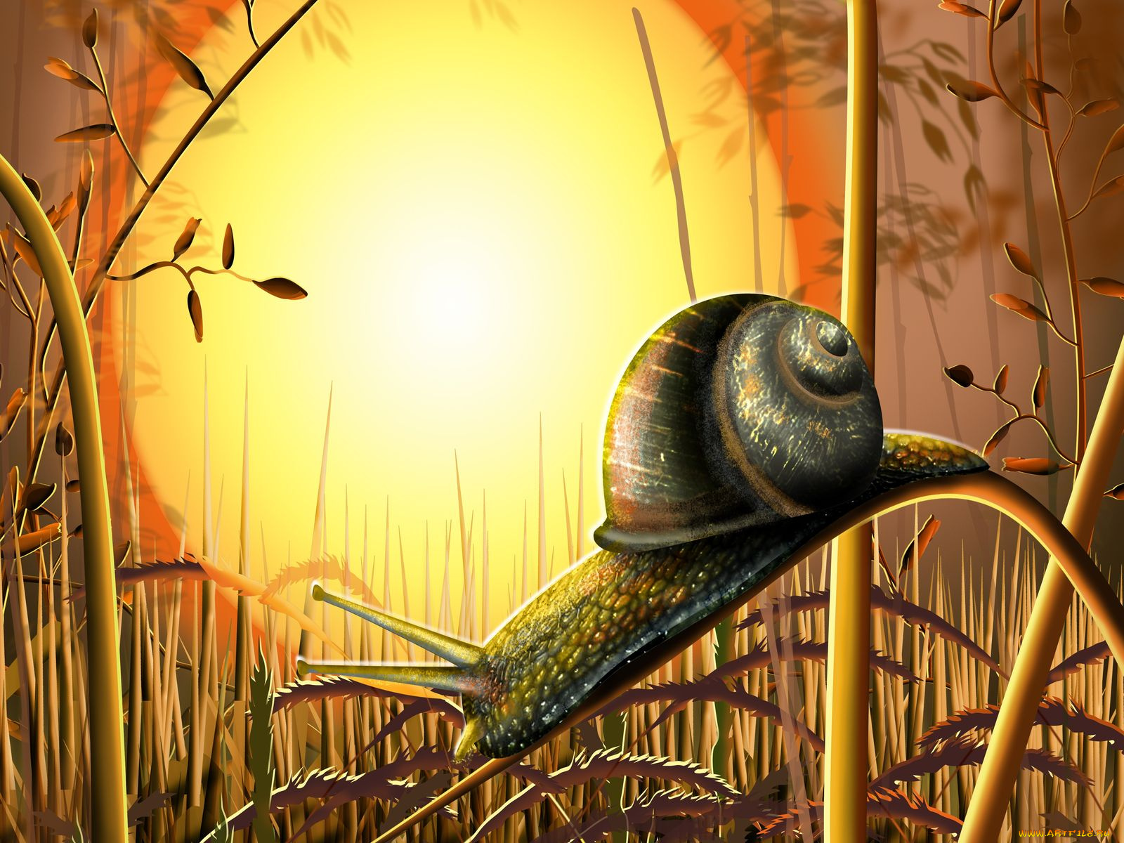 векторная, графика