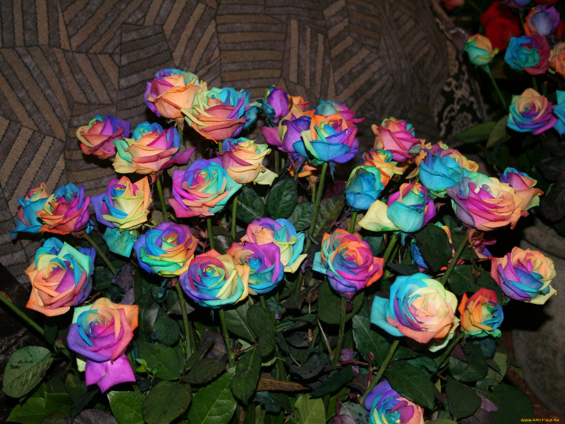 цветы, розы