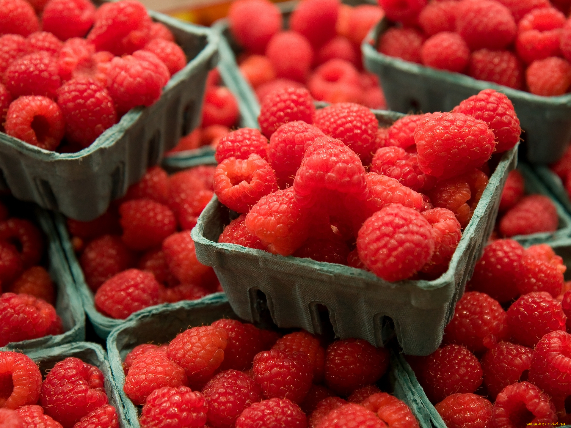 еда, малина