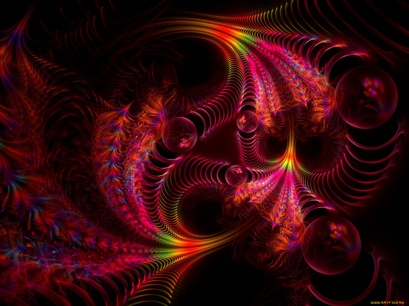 3д, графика, fractal, фракталы, фрактал, узор, цвета