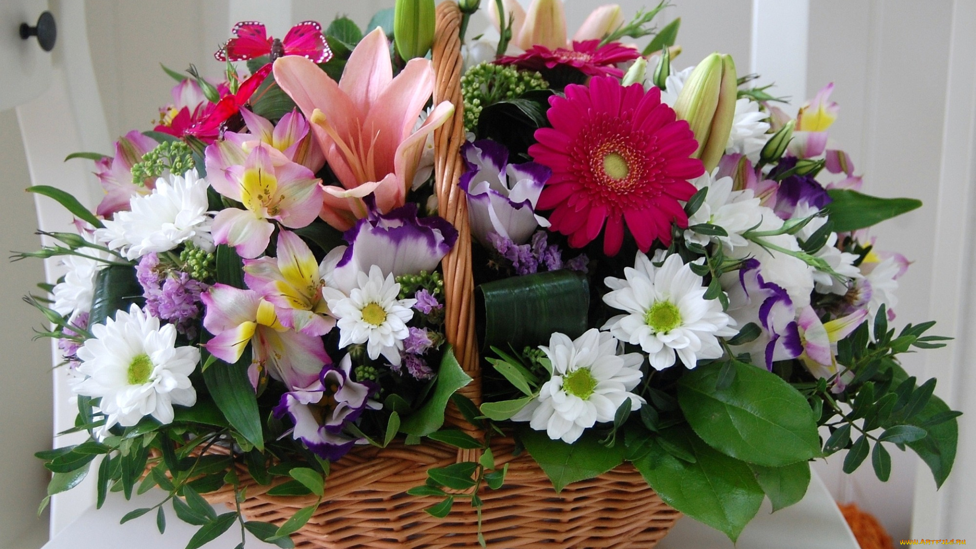 цветы, букеты, композиции, хризантемы, лилии, герберы, корзина