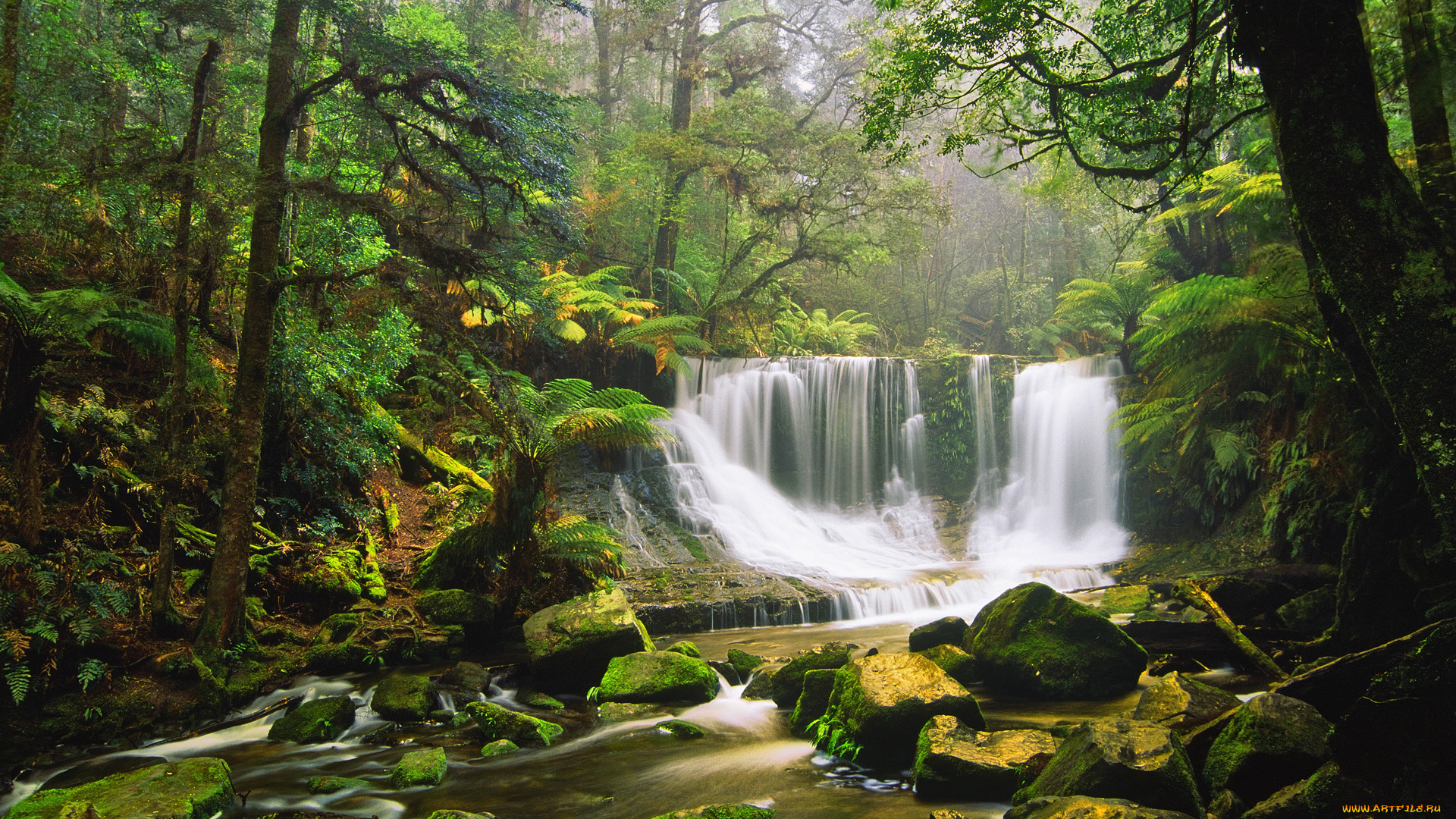 природа, водопады, деревья, лес, река, камни