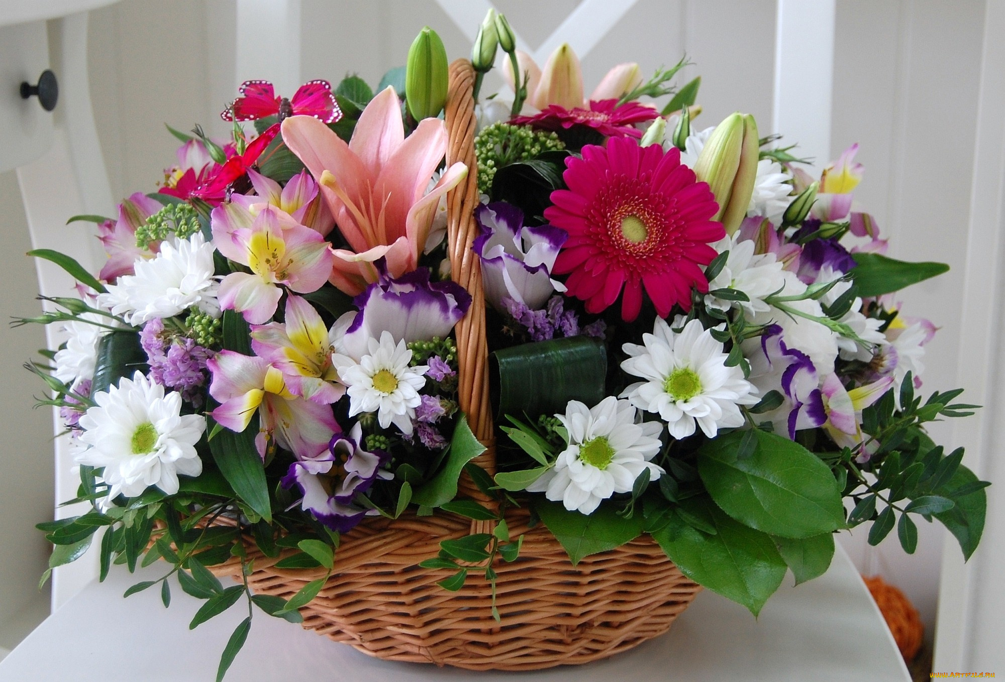 цветы, букеты, композиции, хризантемы, лилии, герберы, корзина
