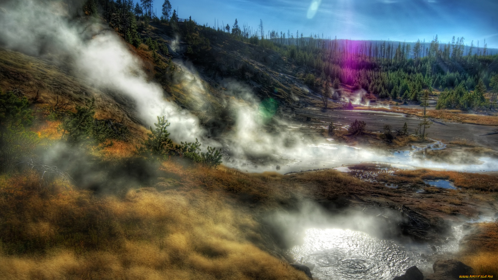 covers, the, la, природа, стихия