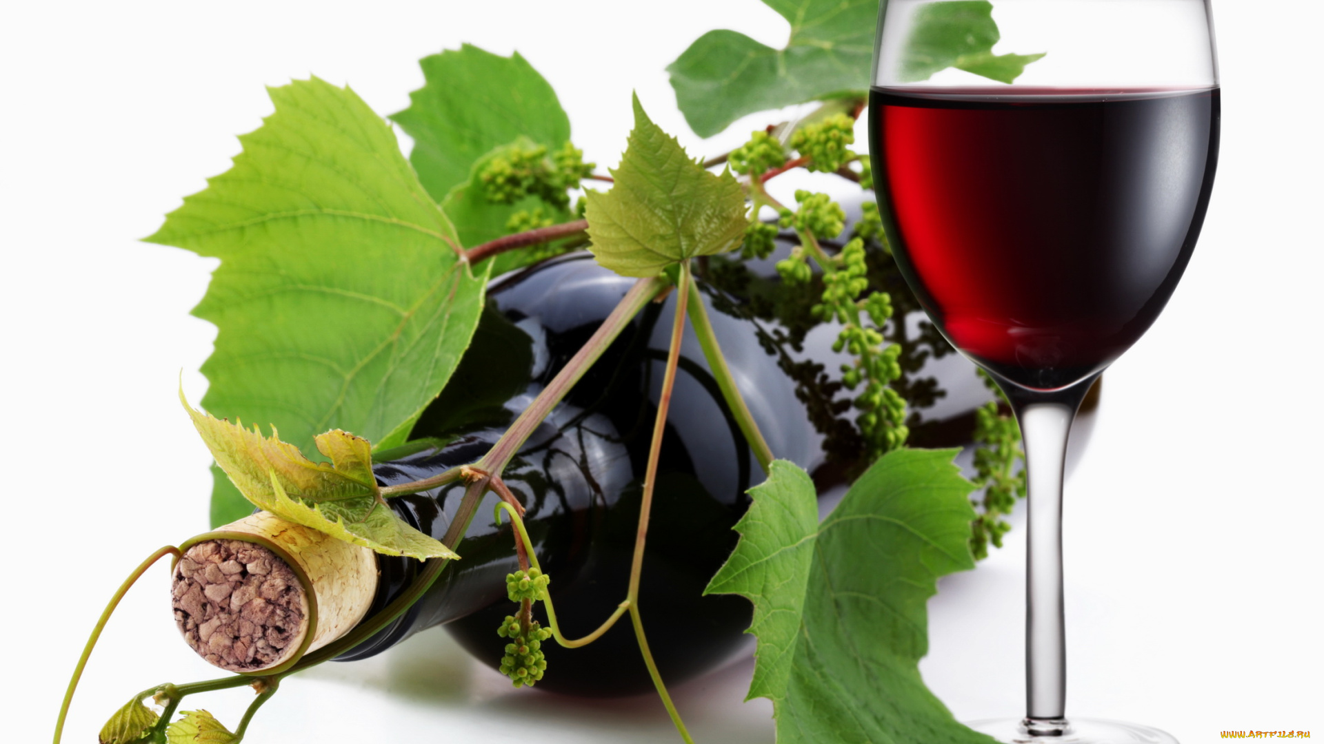 еда, напитки, вино, бутыль, лоза, бокал