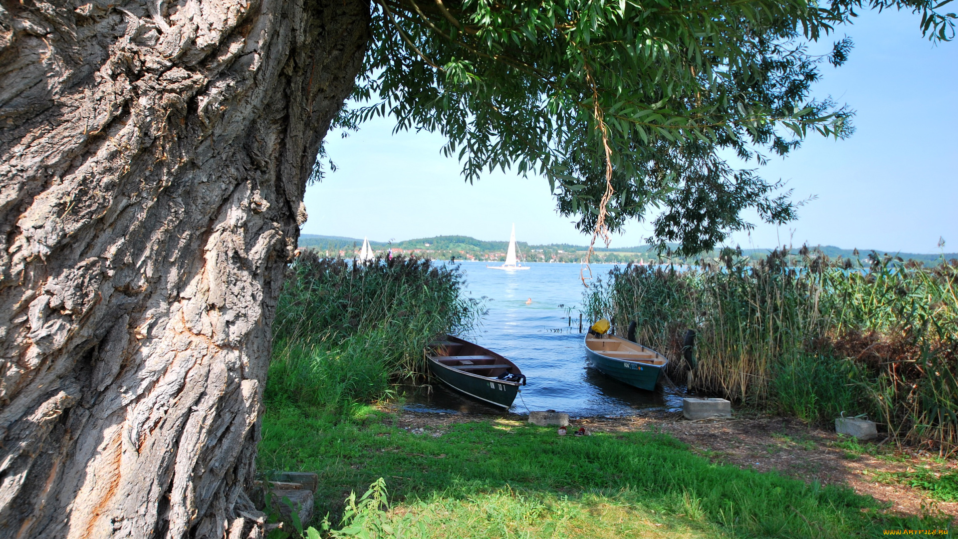 германия, бавария, орнбау, природа, пейзажи