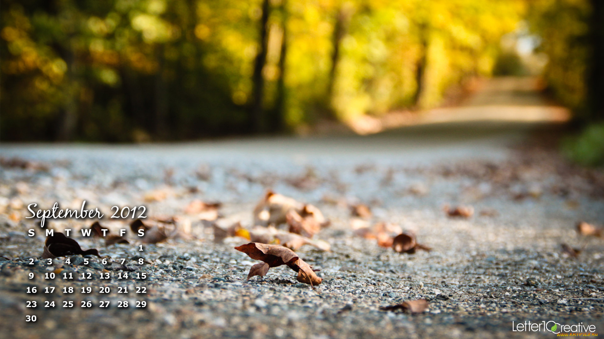 календари, природа, осень, листья, асфальт