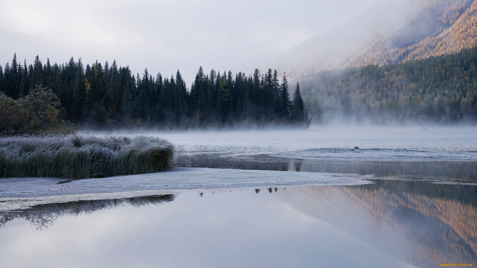 природа, реки, озера