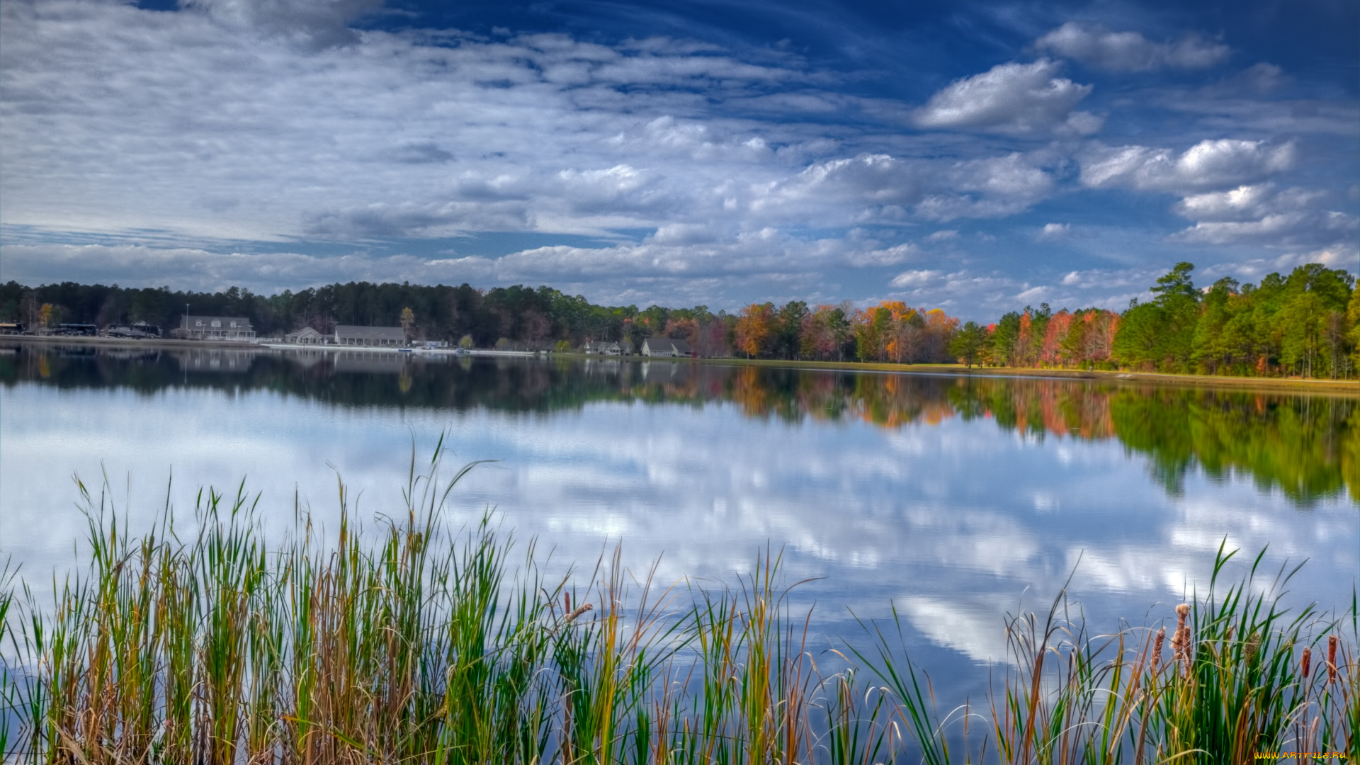 природа, реки, озера, вода, отражение, небо, камыш