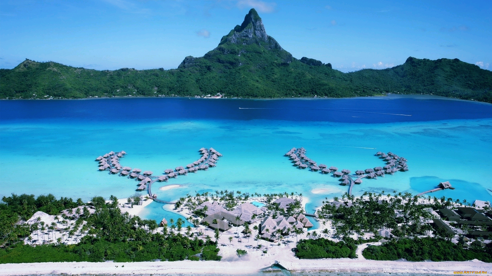 природа, тропики, горы, море