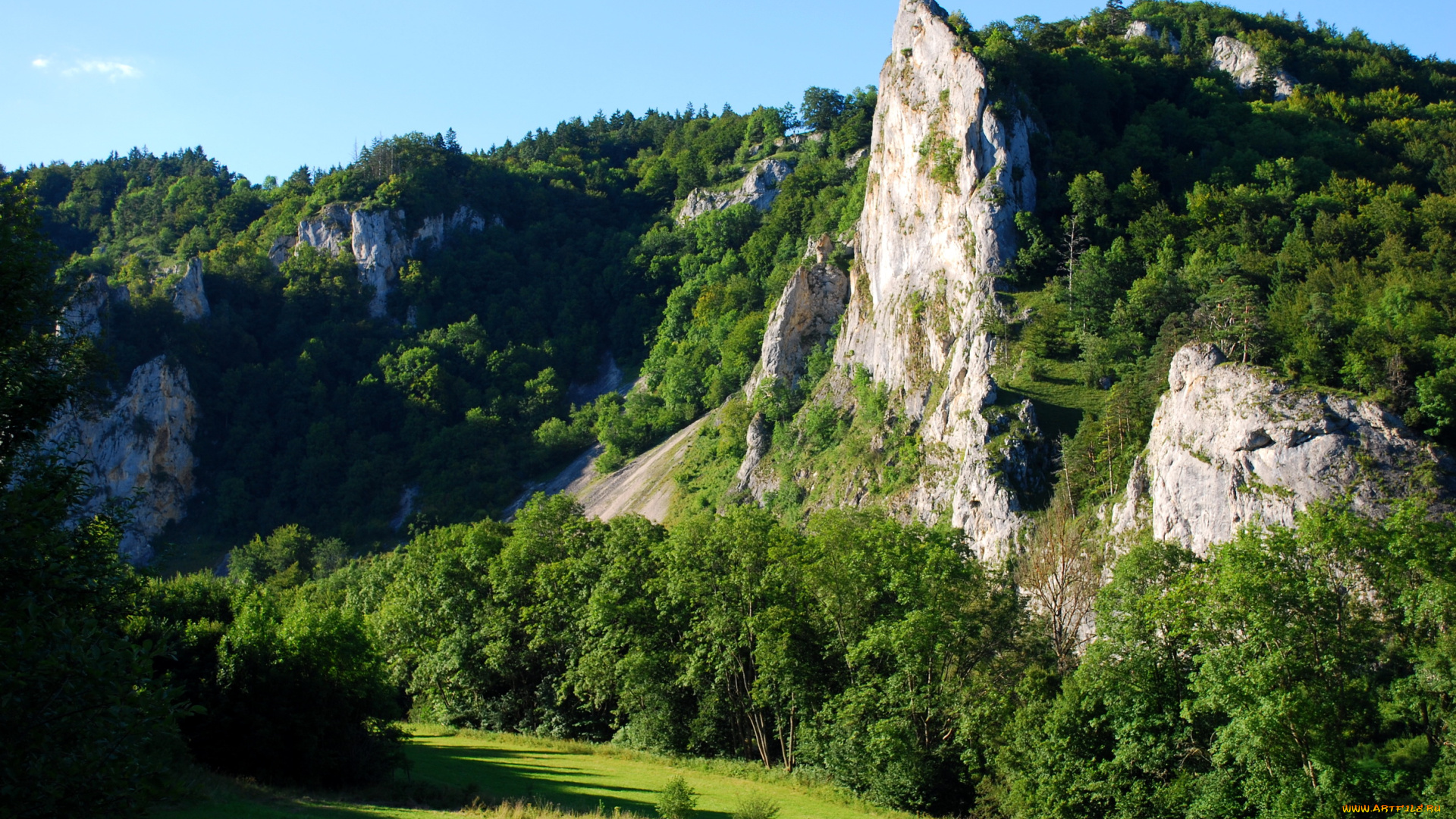 rock, stiegelesfels, германия, природа, горы, гора