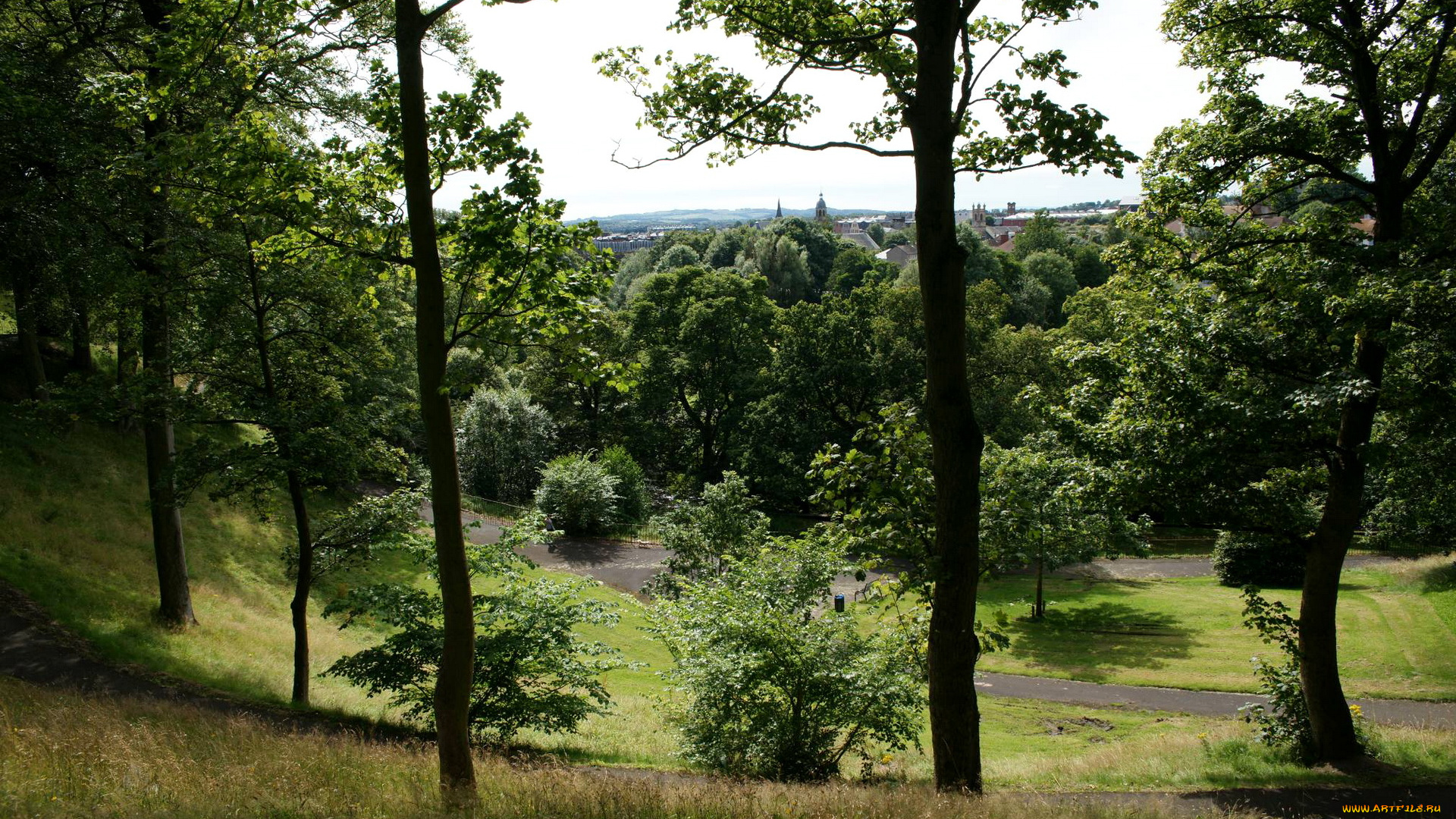 шотландия, природа, парк