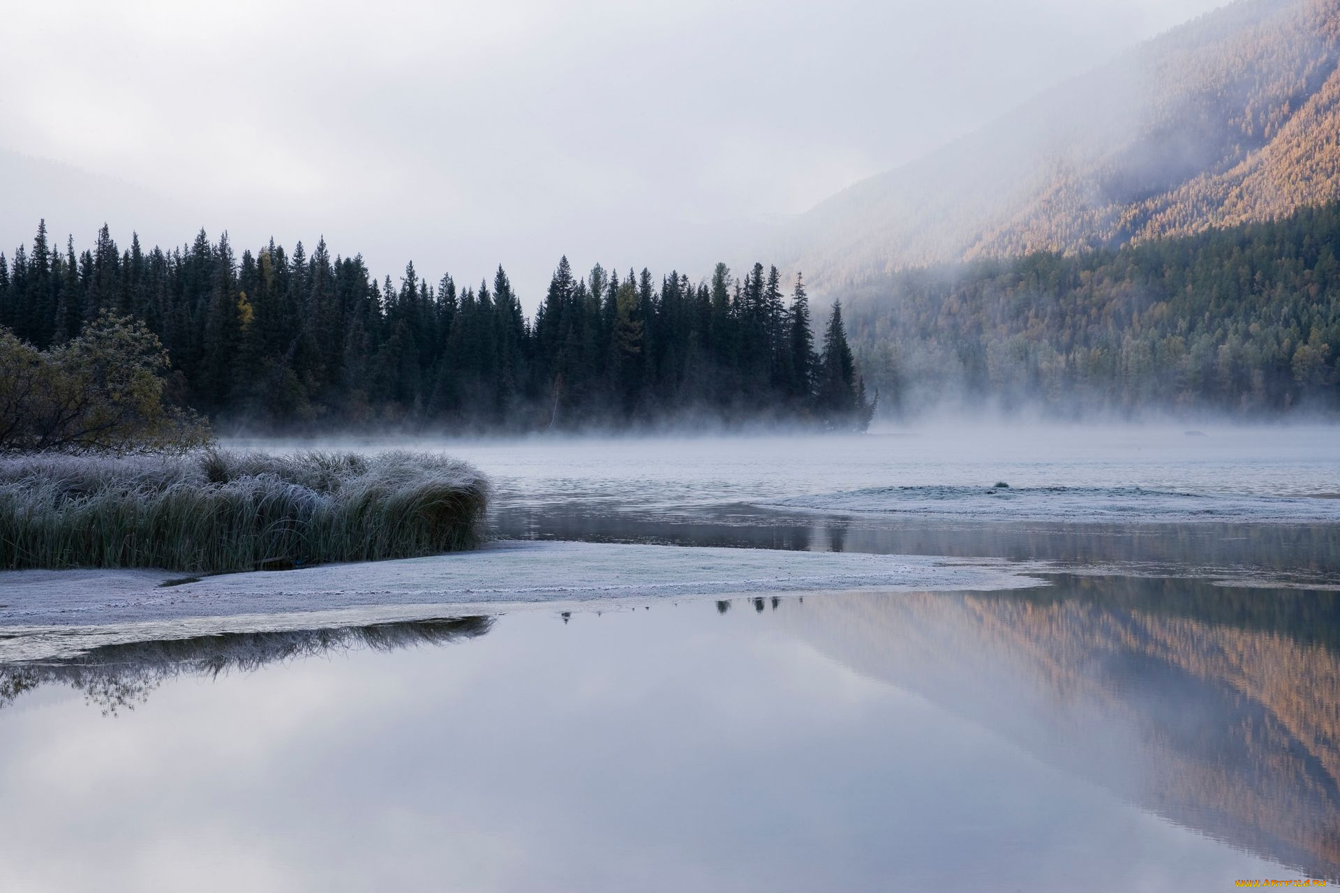 природа, реки, озера