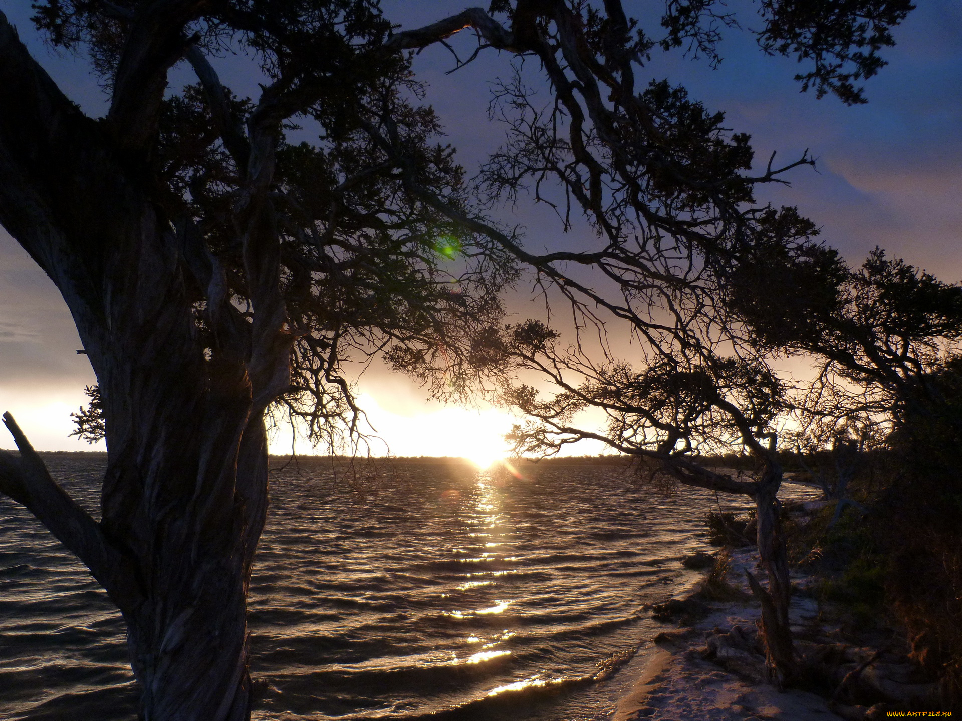 австралия, природа, восходы, закаты