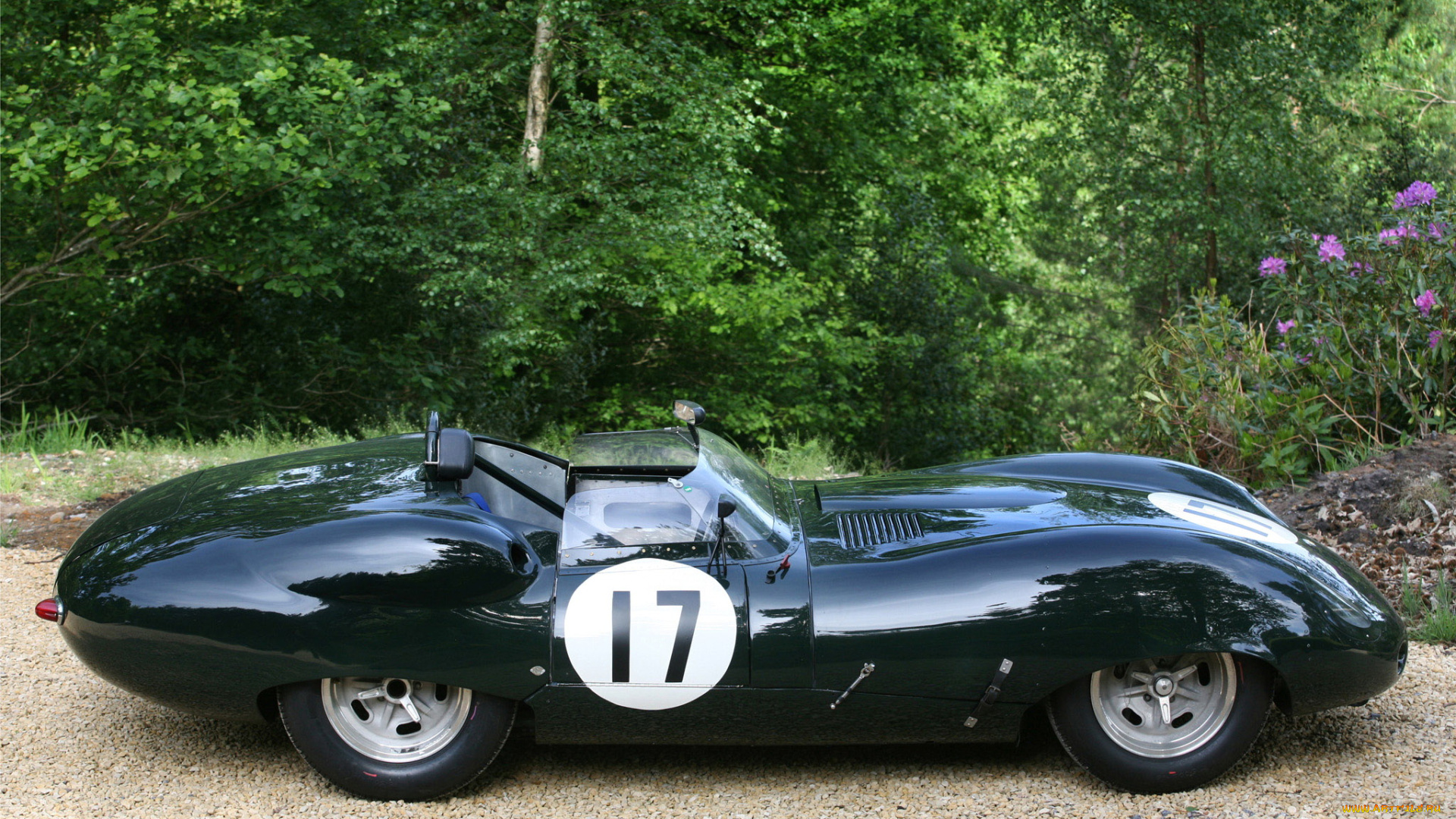 1959, jaguar, costin, roadster, автомобили, дорога