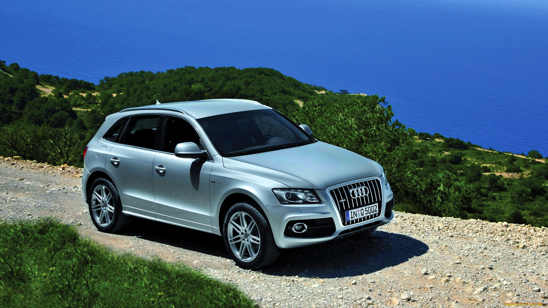 audi, q5, автомобили, германия, легковые, концерн, volkswagen, group, ag