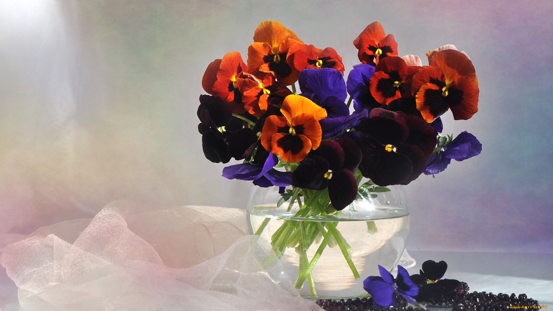 цветы, анютины, глазки, садовые, фиалки, букет, бархатный