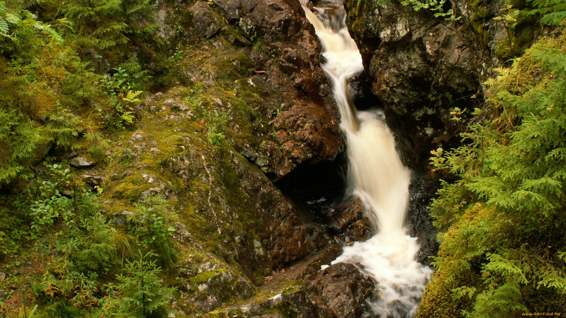dalarna, швеция, природа, водопады, лес, водопад