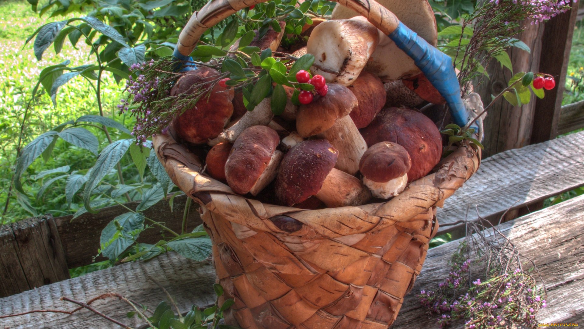 еда, грибы, грибные, блюда, брусника, боровики, корзина