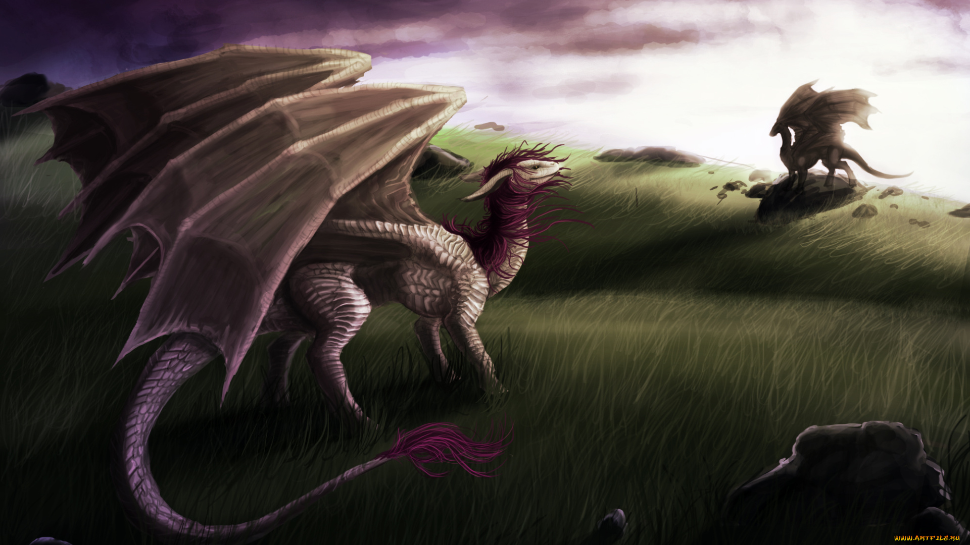 фэнтези, драконы