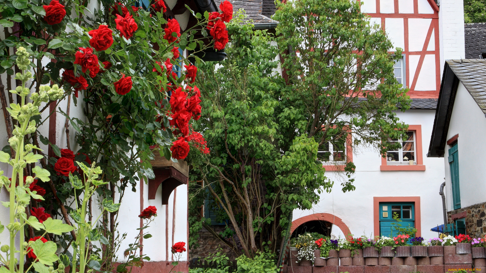 германия, монреаль, города, здания, дома, цветы, двор
