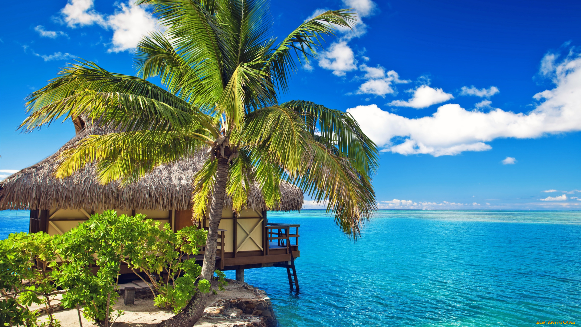 природа, тропики, бунгало, карибы