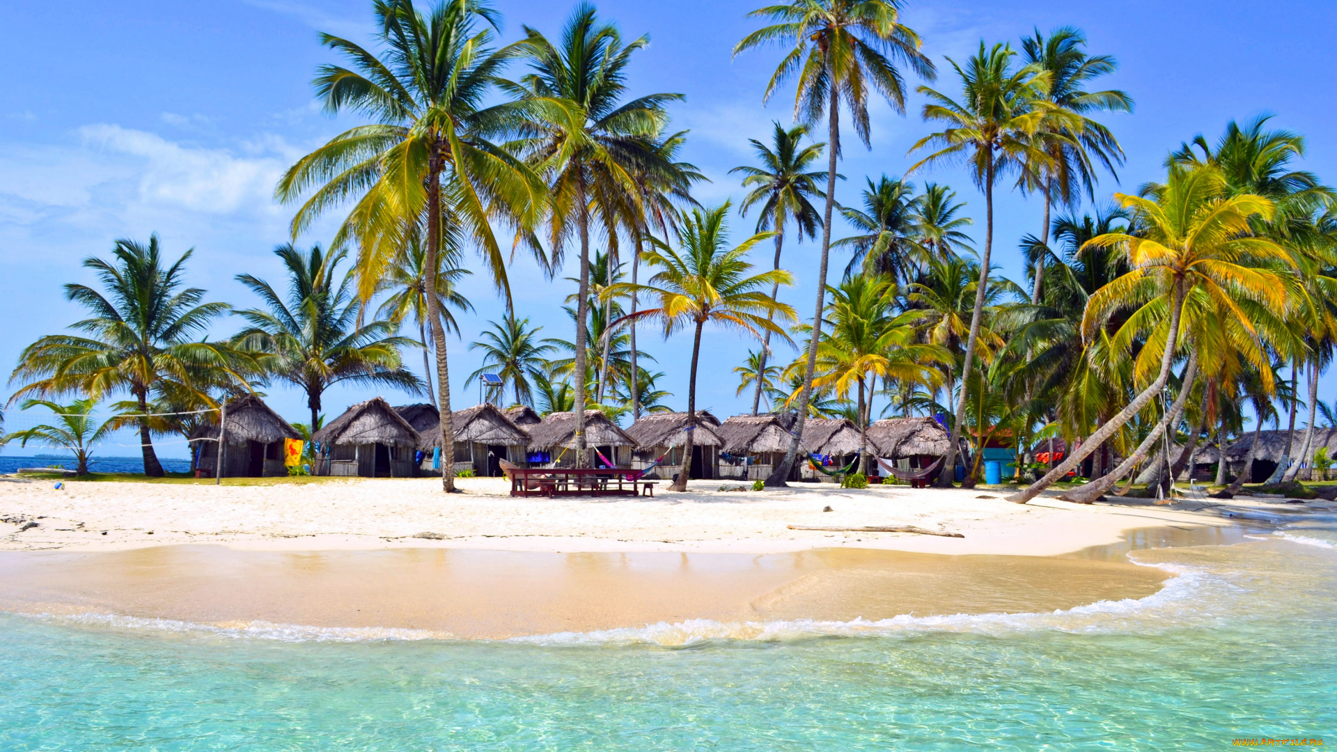 природа, тропики, панама, пальмы, остров, пляж