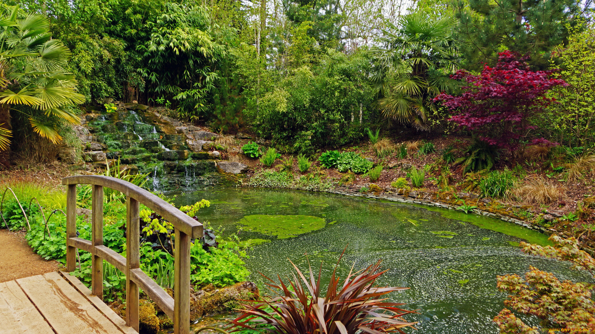 secret, garden, blenheim, palace, англия, природа, парк, река, растения, сад, мостик