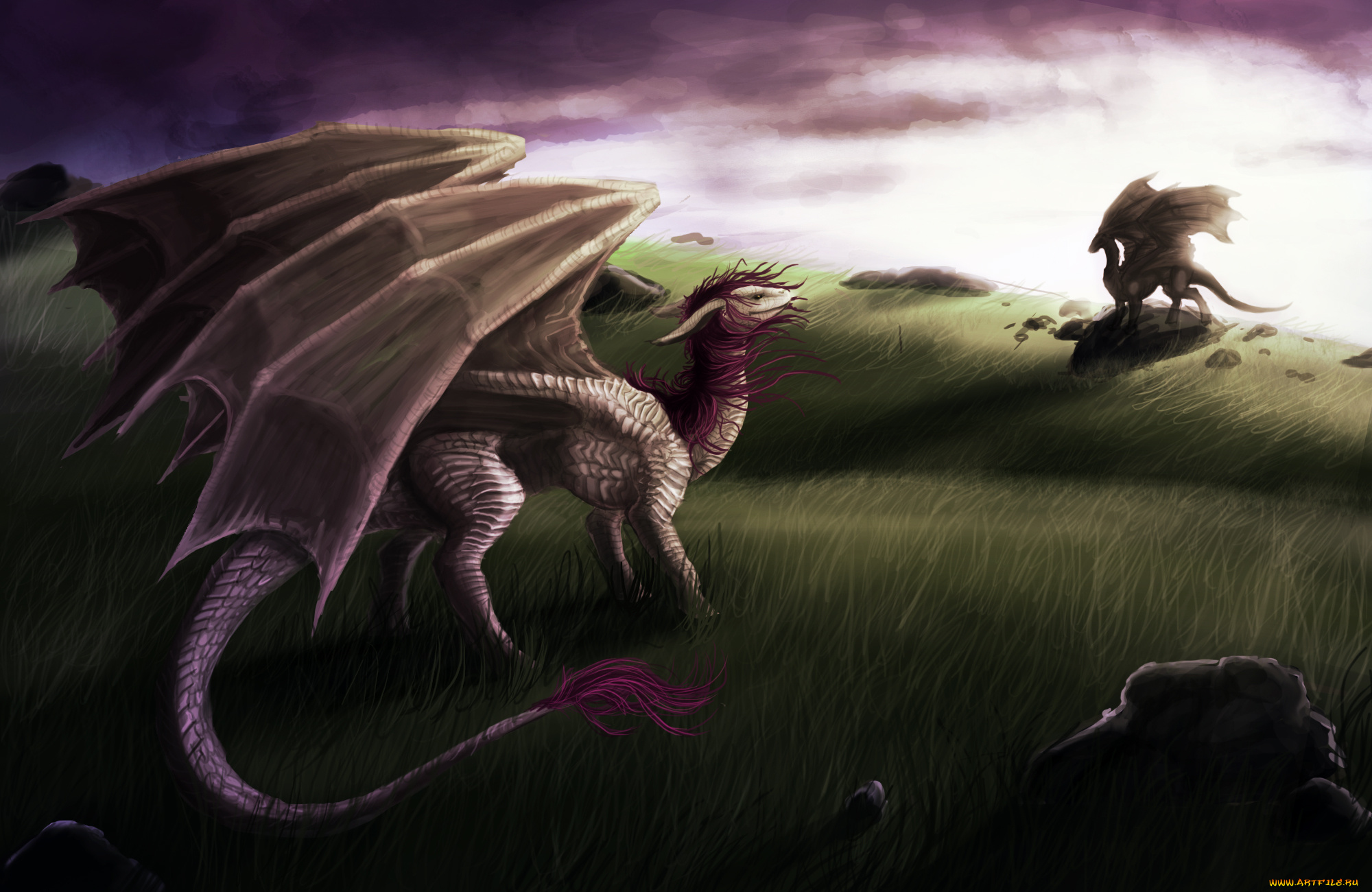 фэнтези, драконы