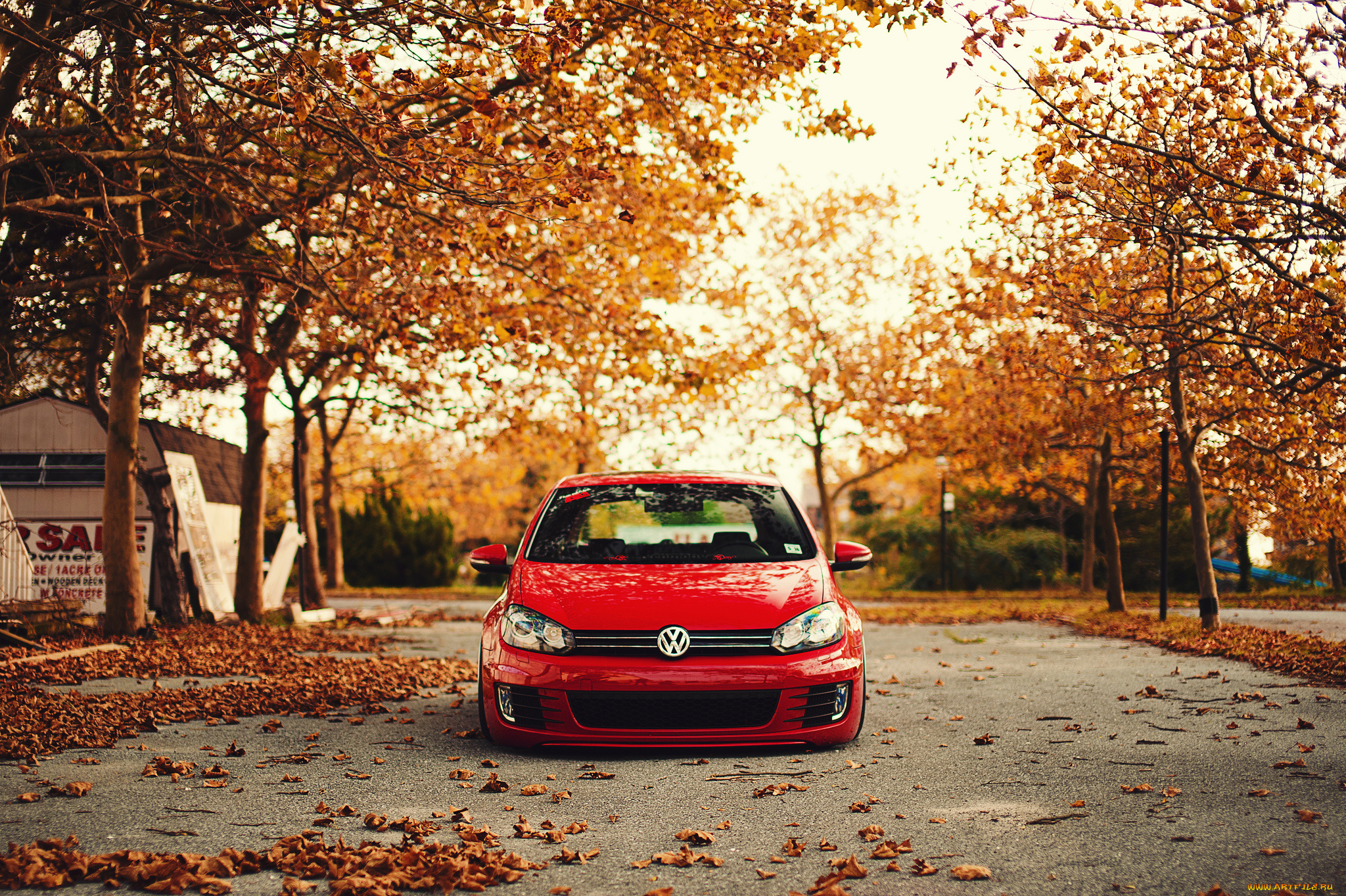 автомобили, volkswagen