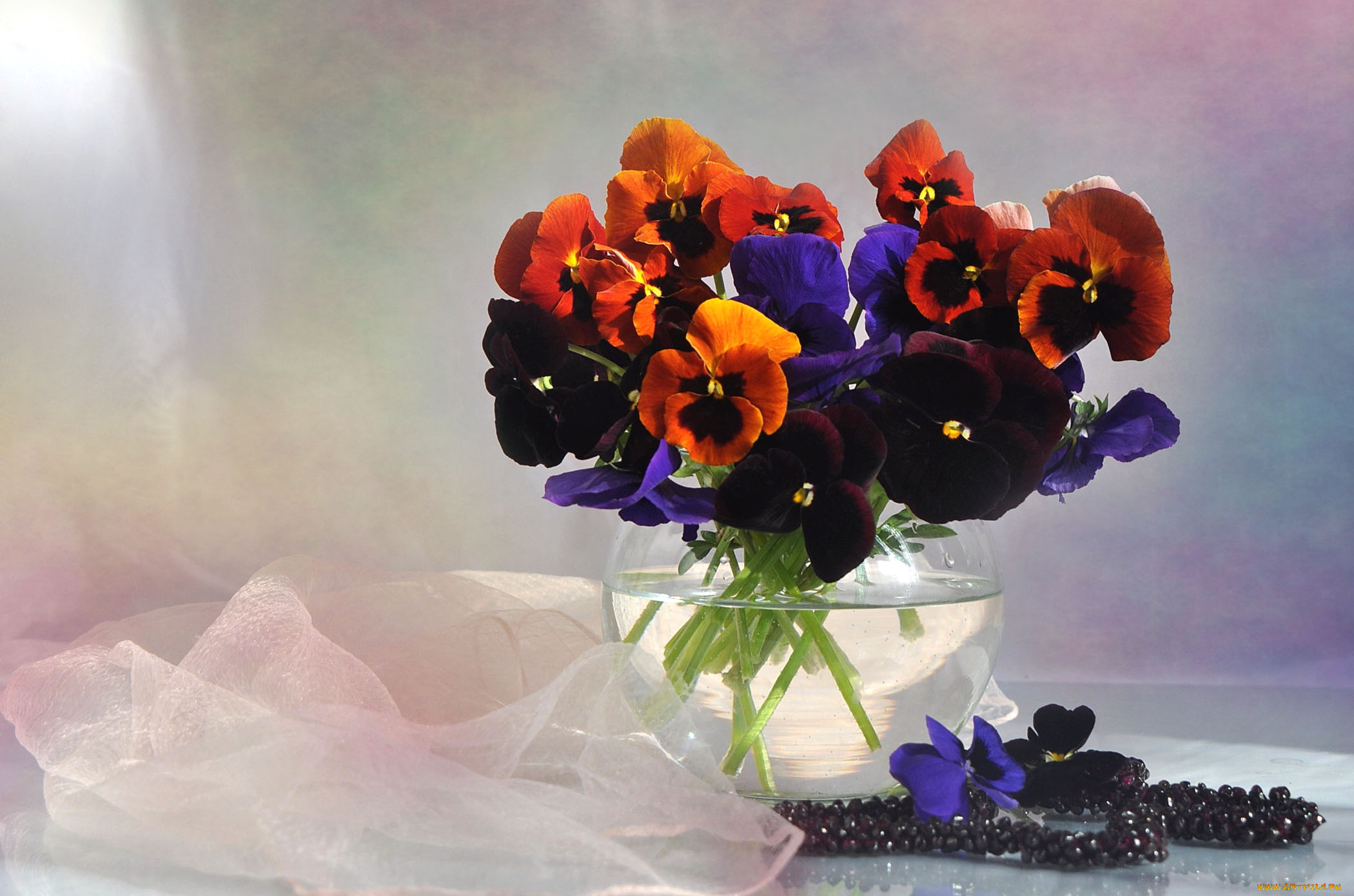 цветы, анютины, глазки, садовые, фиалки, букет, бархатный