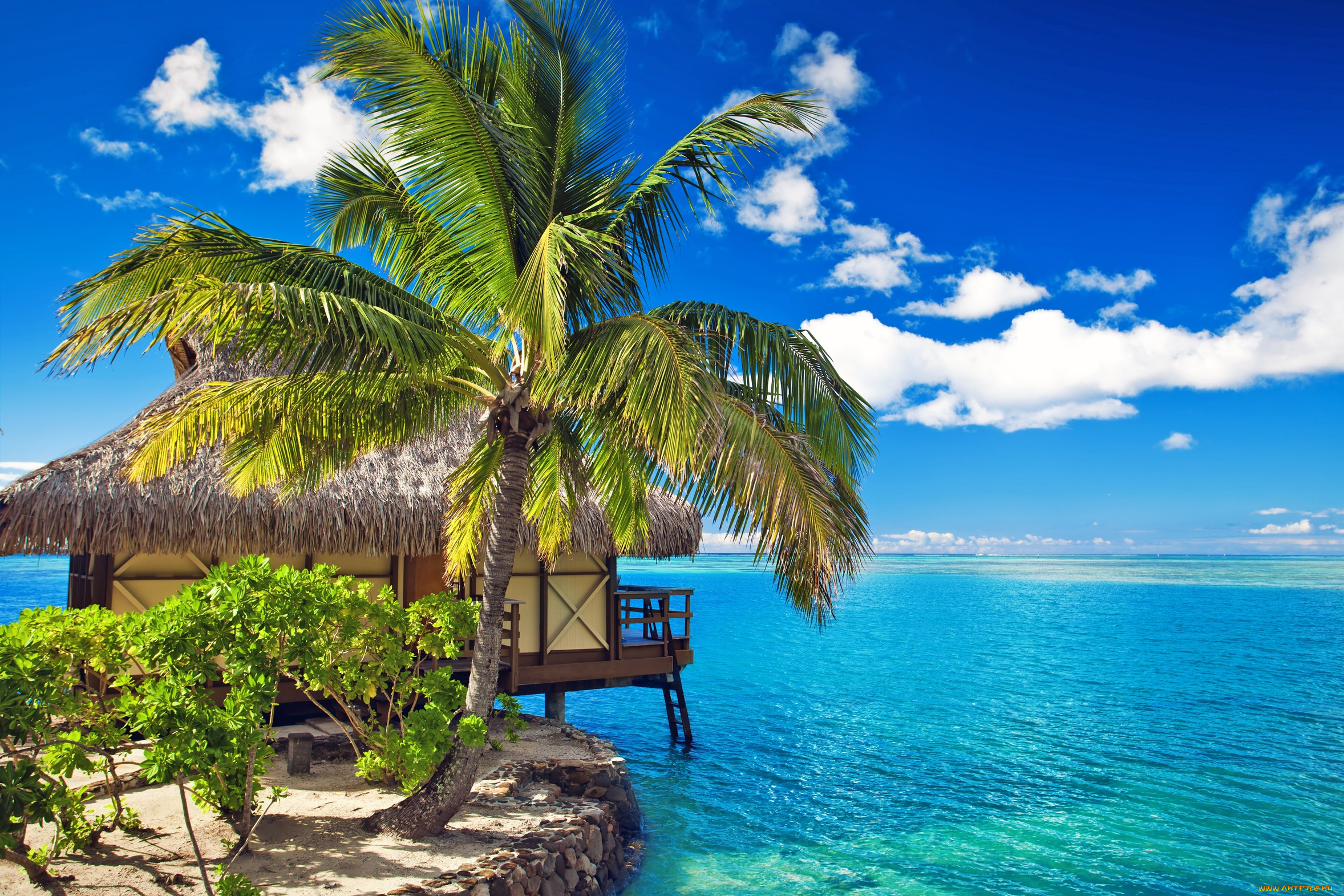 природа, тропики, бунгало, карибы