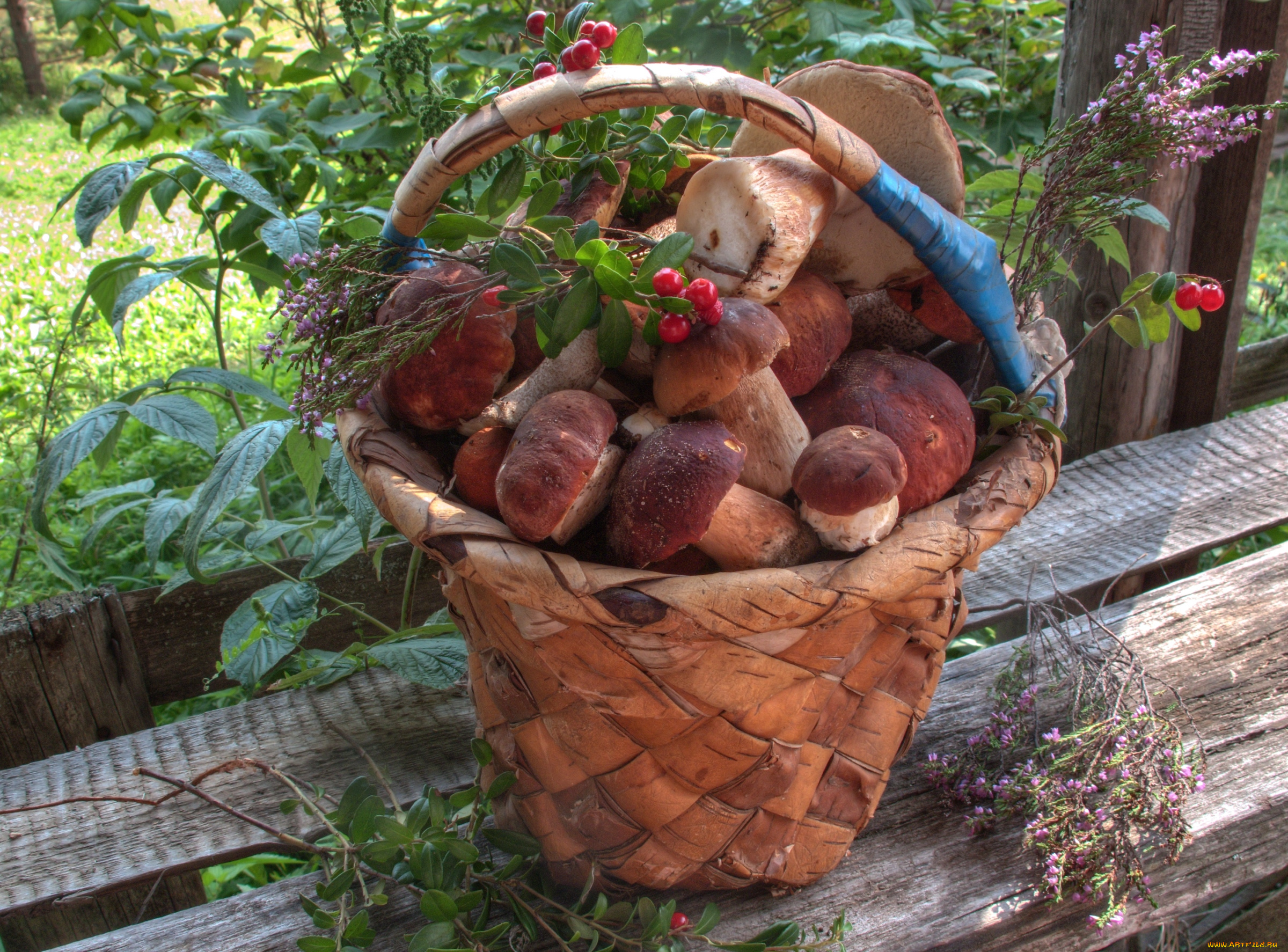 еда, грибы, грибные, блюда, брусника, боровики, корзина