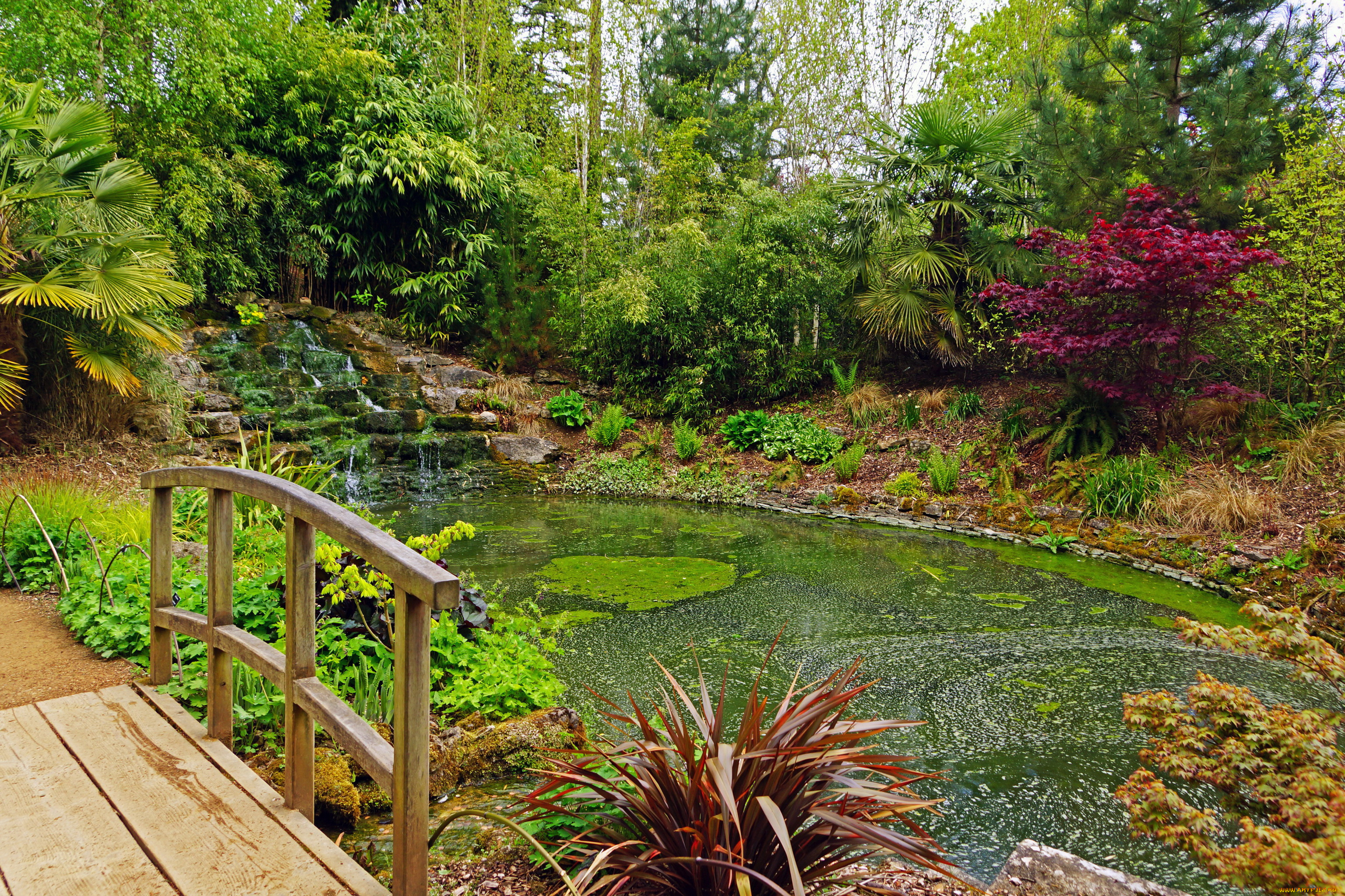 secret, garden, blenheim, palace, англия, природа, парк, река, растения, сад, мостик