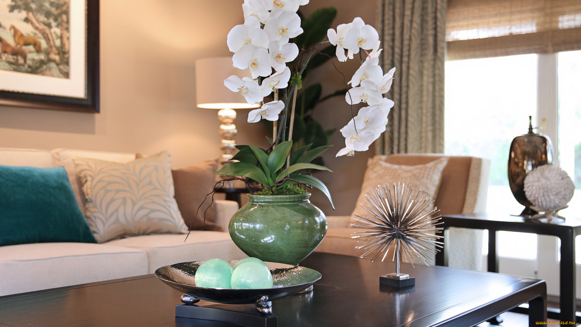 цветы, орхидеи, цветение, белая, орхидея, цветок, комната