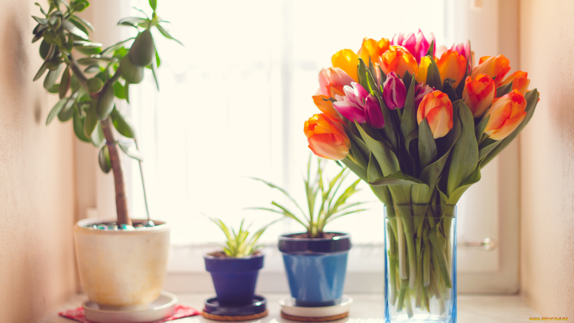 цветы, разные, вместе, тюльпаны, букет