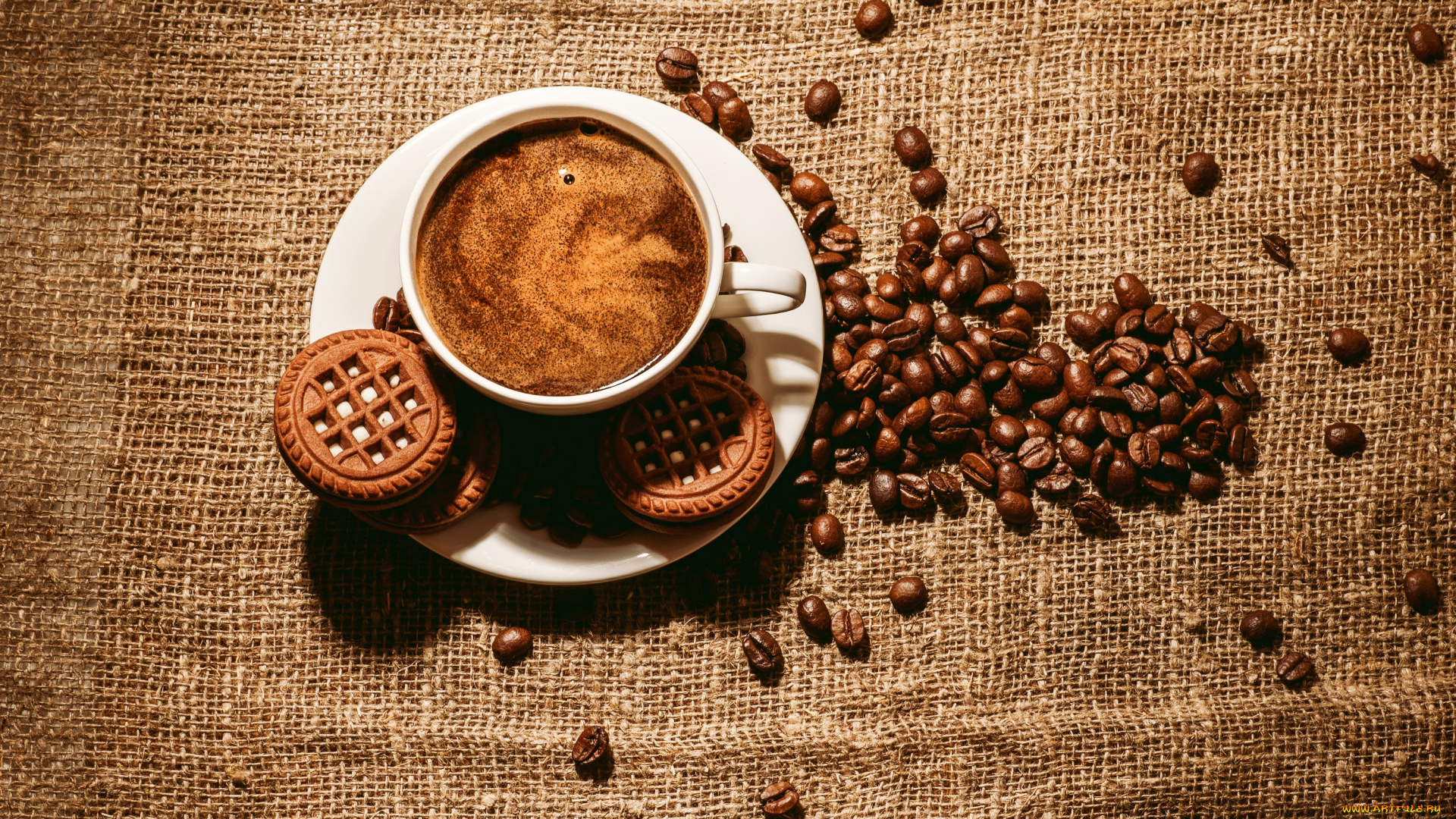 еда, кофе, , кофейные, зёрна, печенье, печеньки, зерна, блюдце, чашка, пена