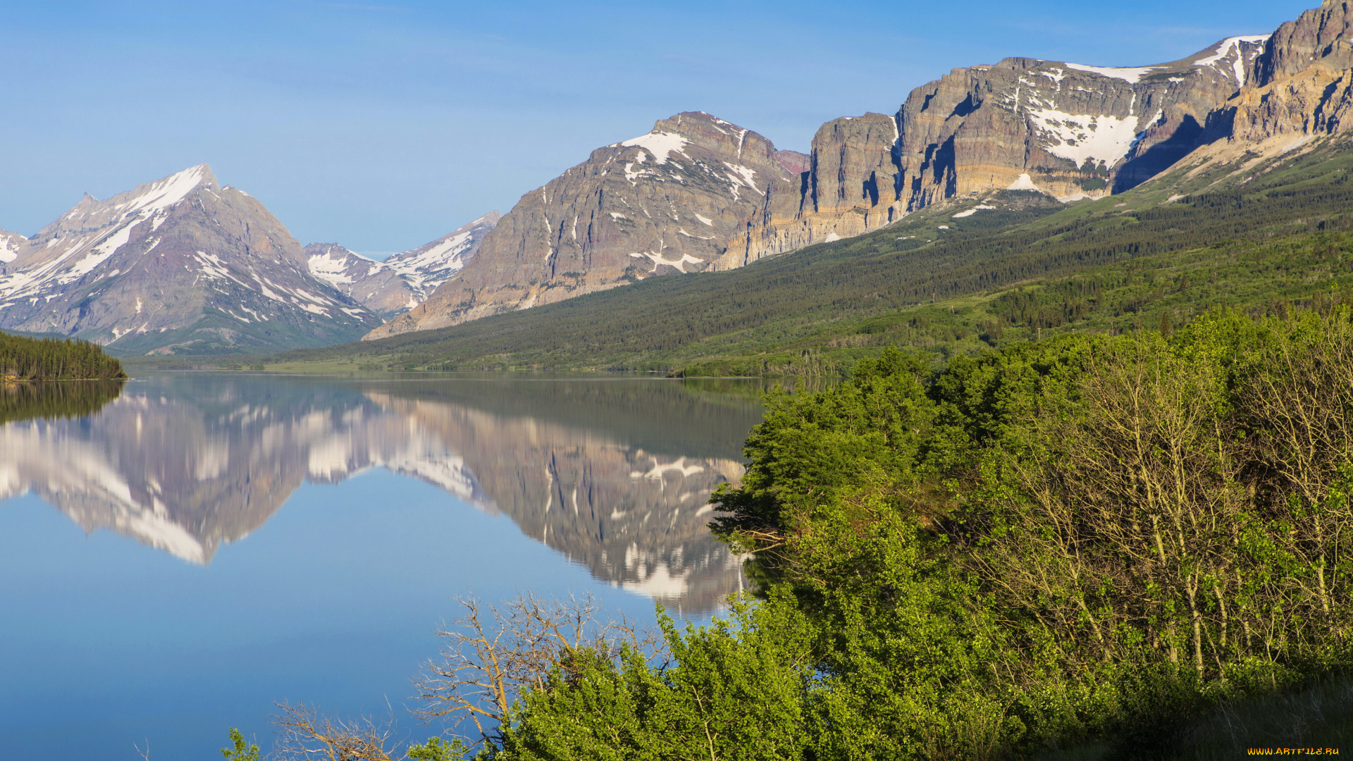 glacier, national, park, , montana, , сша, природа, реки, озера, glacier, трава, река, лес, сша, montana, national, park