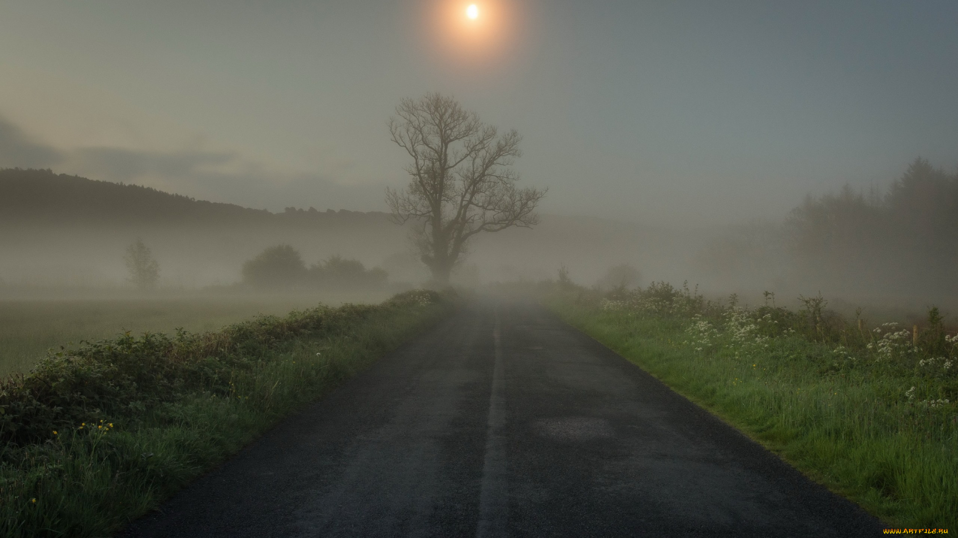 природа, дороги, туман, дерево, трава, дорога, утро