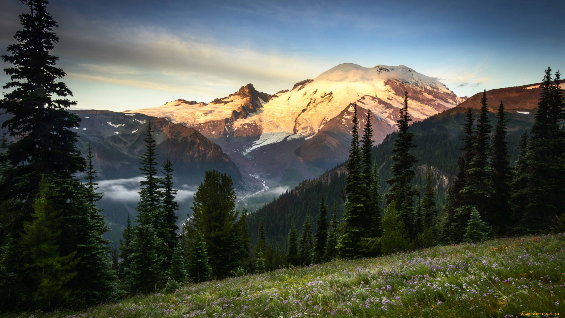 природа, горы, луг, цветы, пейзаж