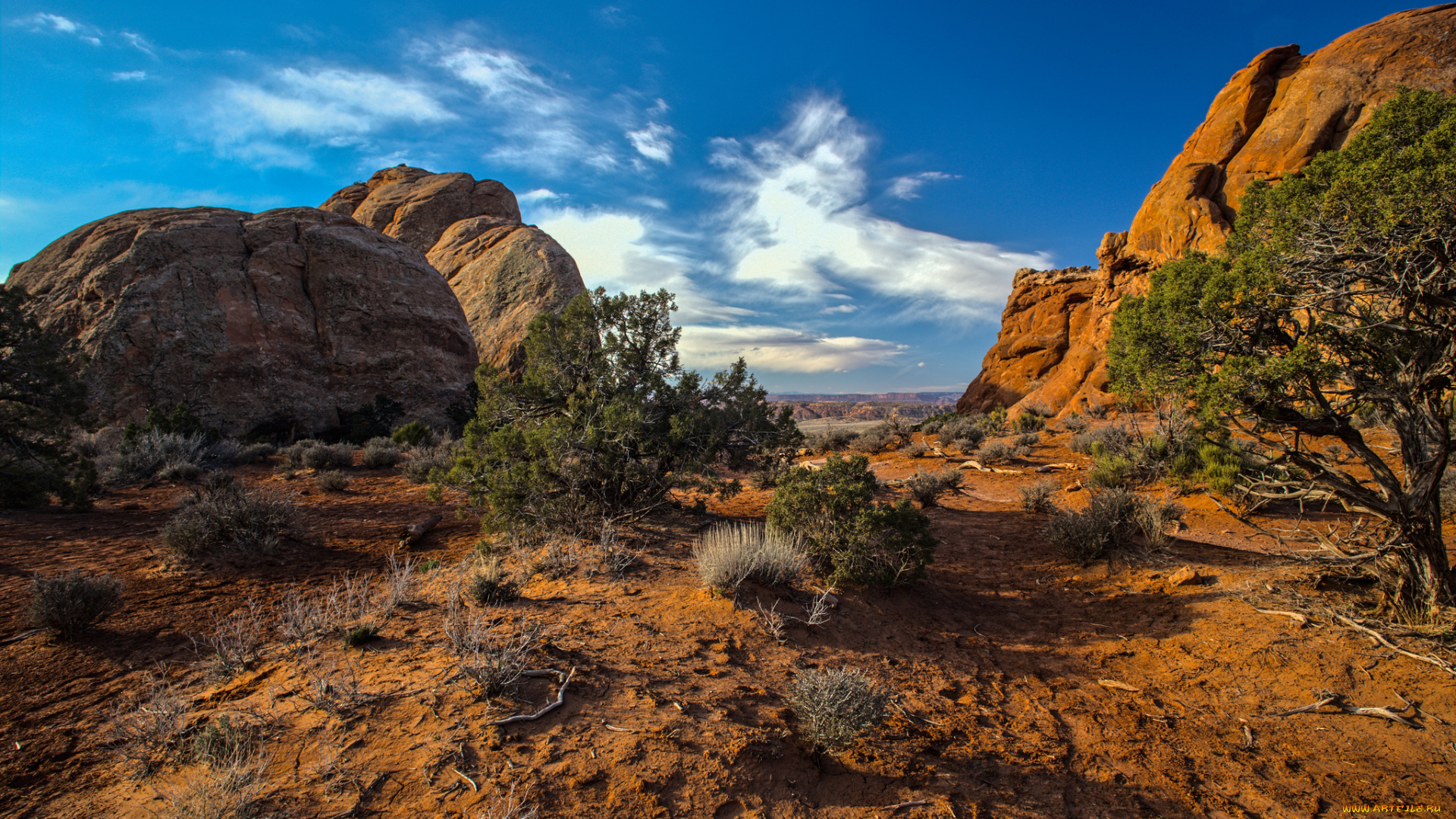 природа, горы, скалы, кусты