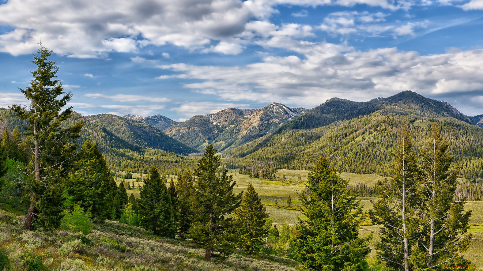 природа, пейзажи, лес, горы, долина