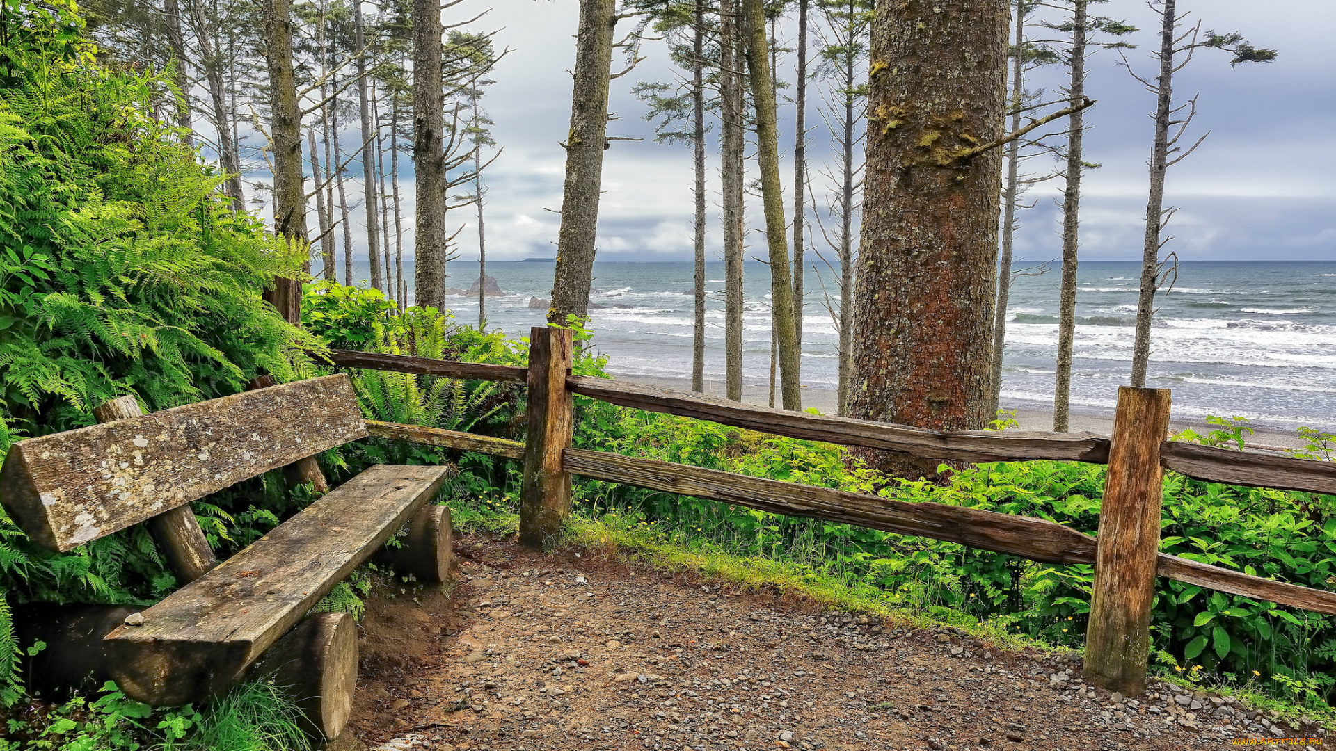 природа, побережье, берег, океан, скамейка, площадка