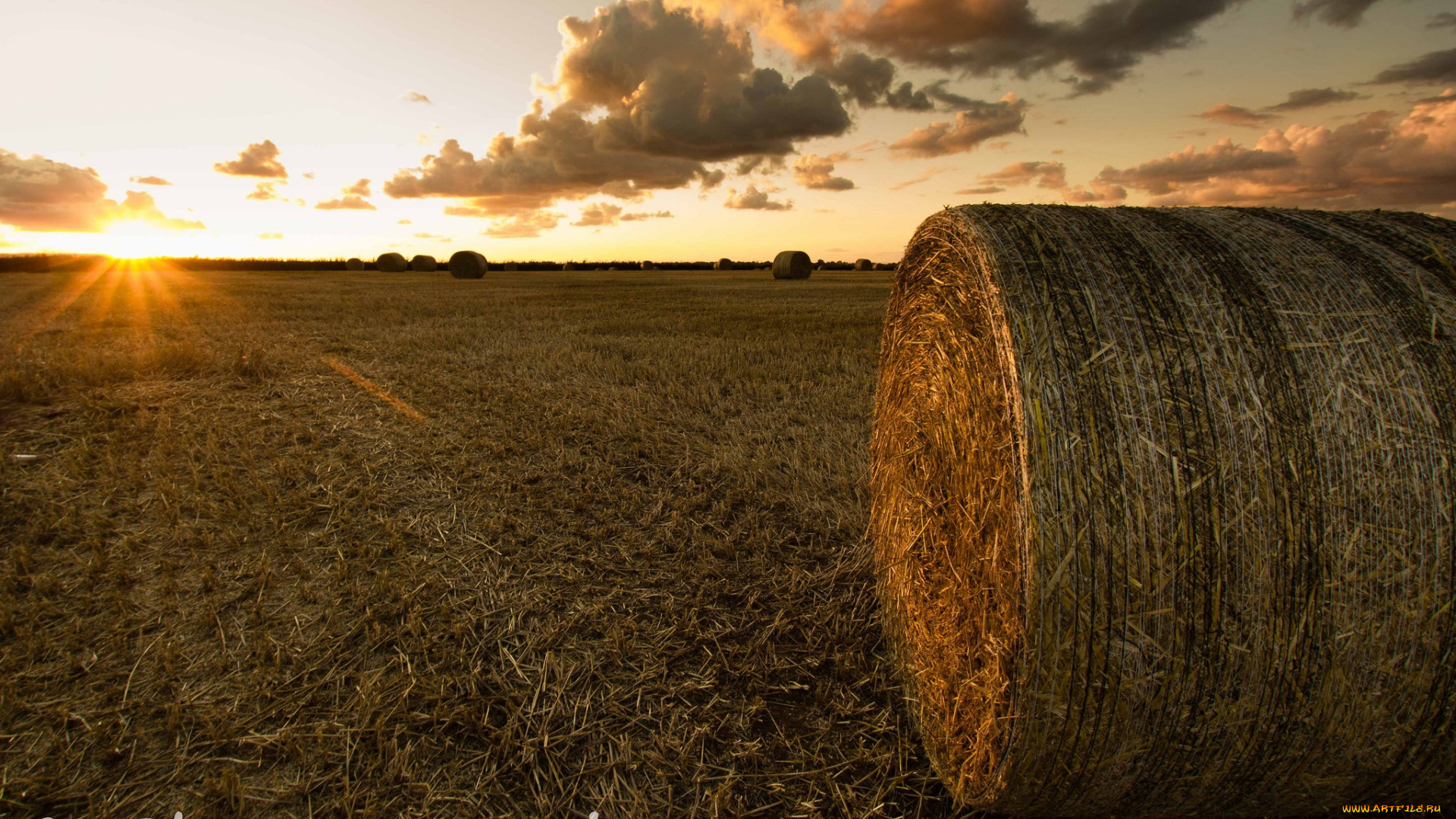 природа, поля, поле, тюк, сено