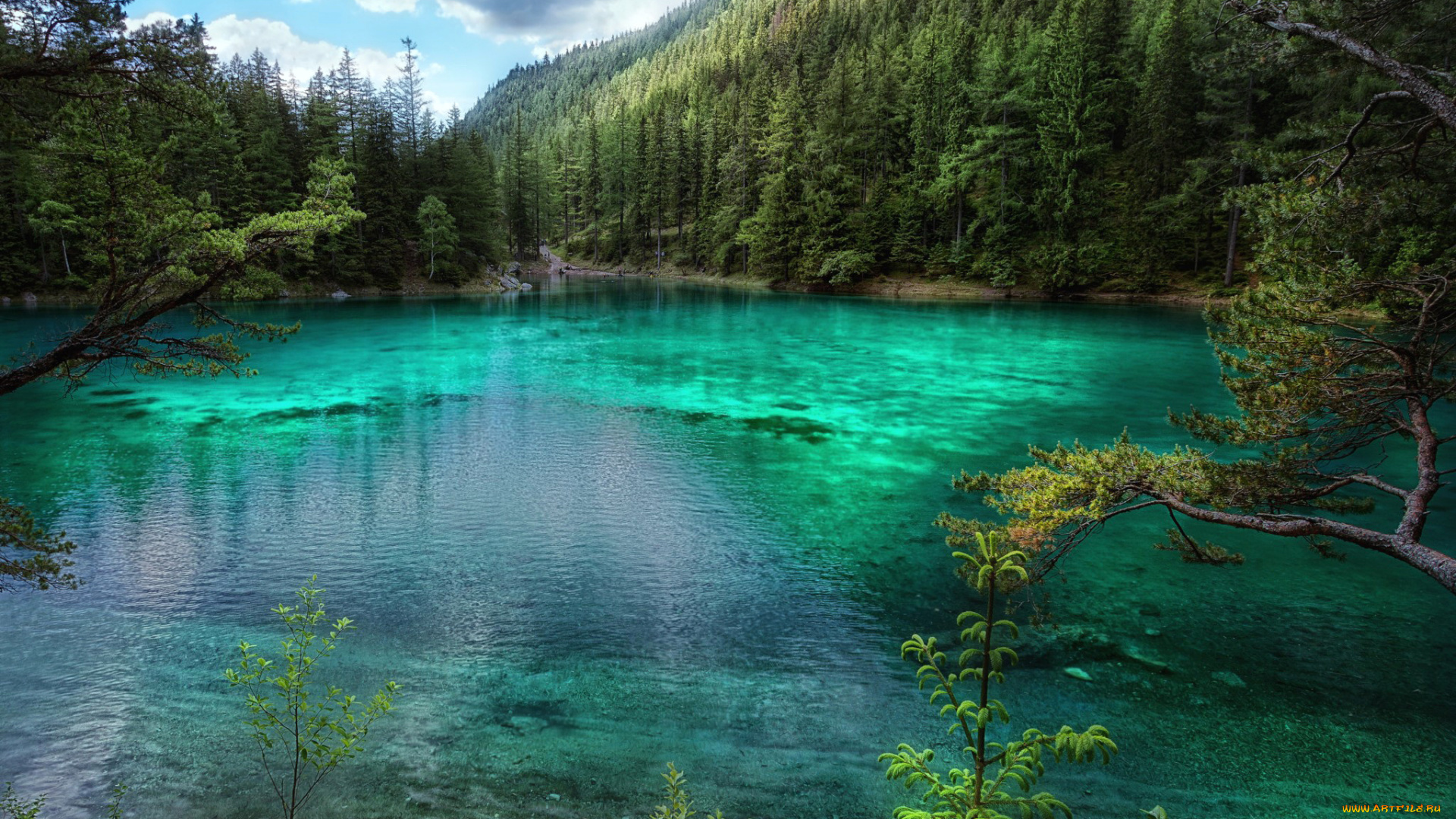 природа, реки, озера, австрия, горы, лес, озеро