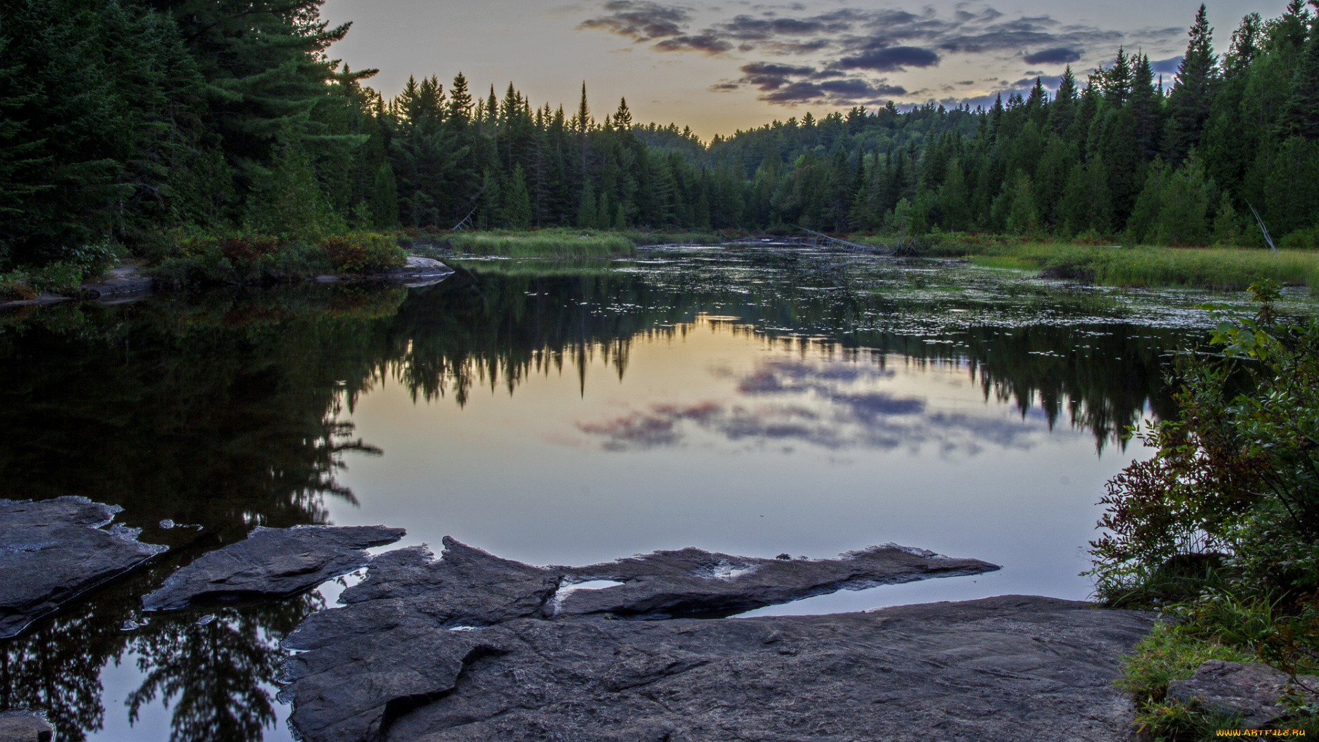 природа, реки, озера, небо, растения, трава, озеро, пейзаж