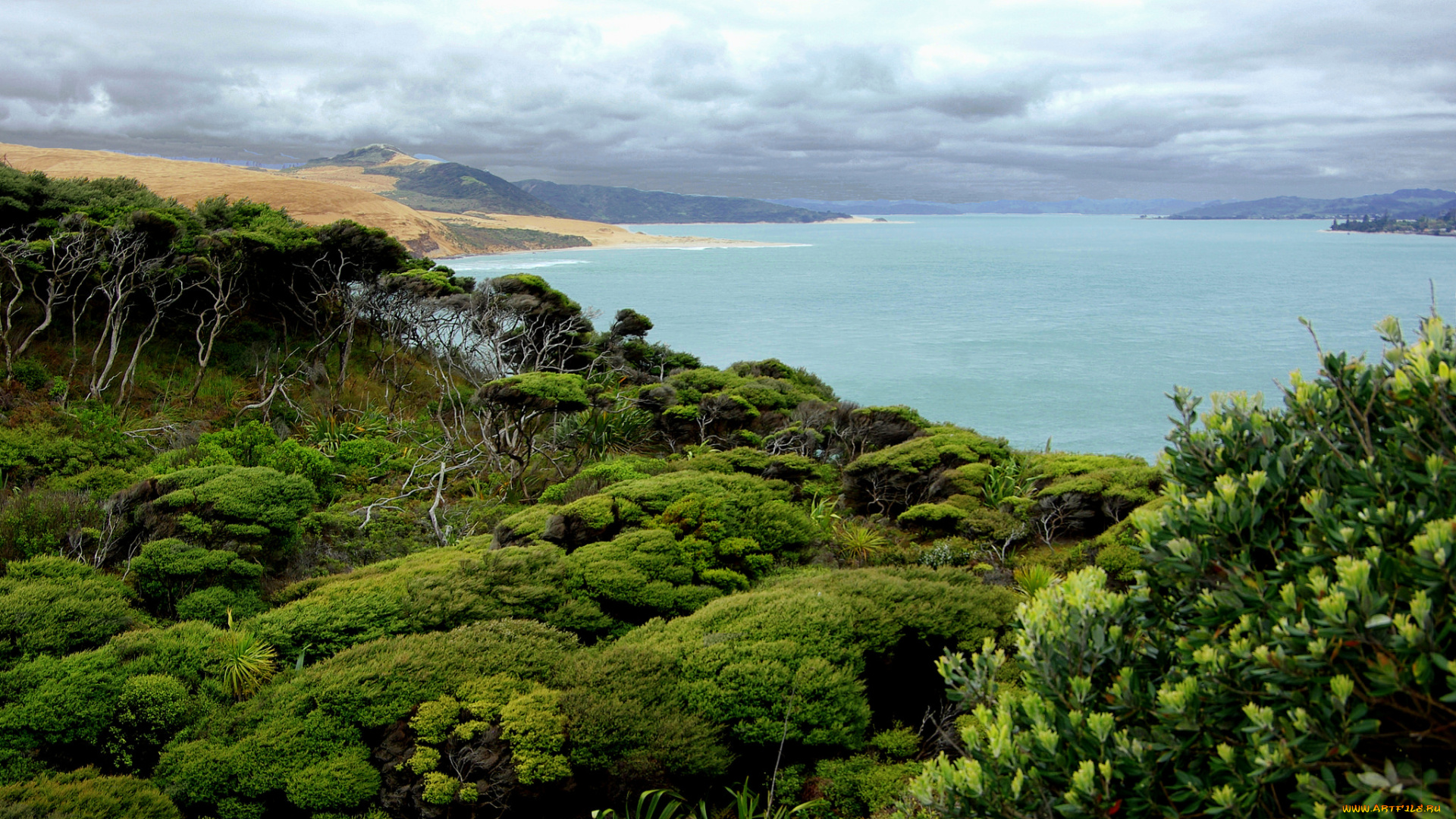 природа, реки, озера, пейзаж, море, тропики, деревья, облака, небо