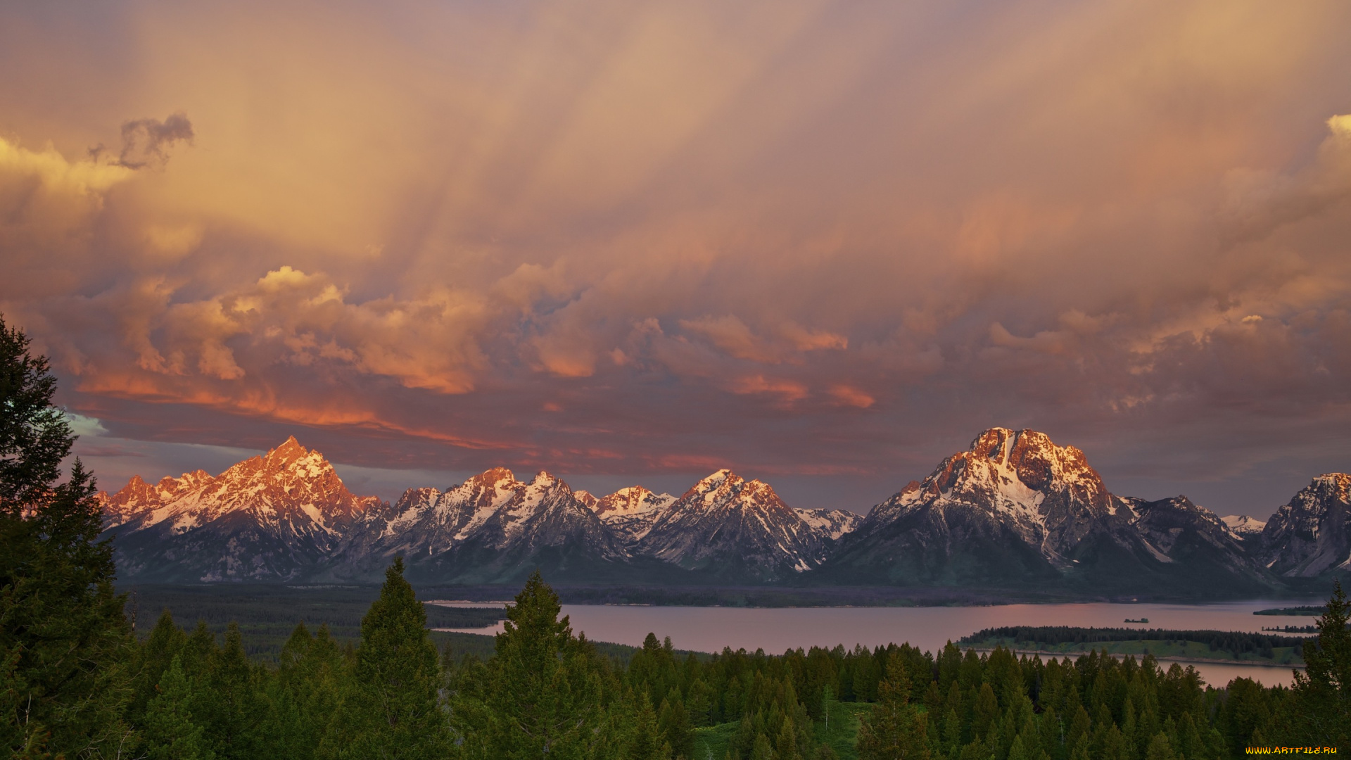 природа, реки, озера, штат, вайоминг, сша, национальный, парк, гранд-титон, лес, небо, горы, утро, озеро