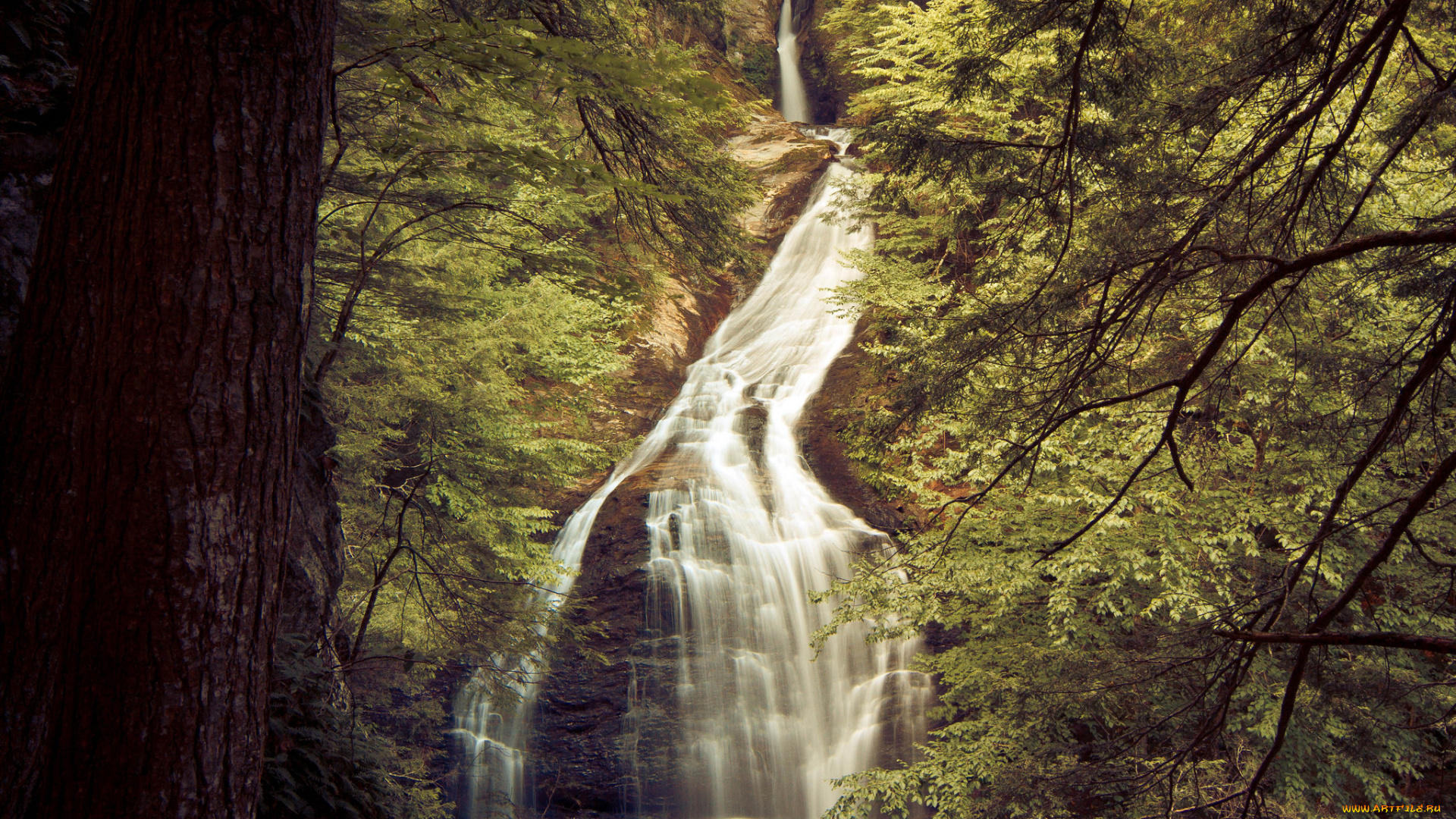 природа, водопады, деревья, скала, водопад